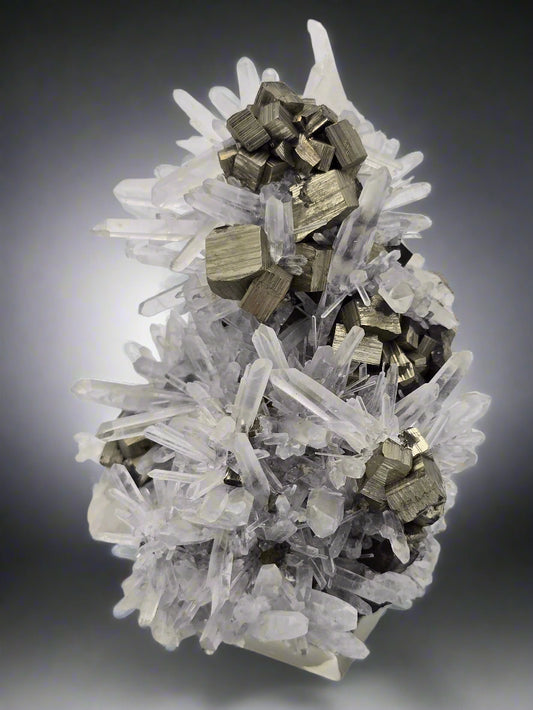QUARTZ with PYRITE (small cabinet)