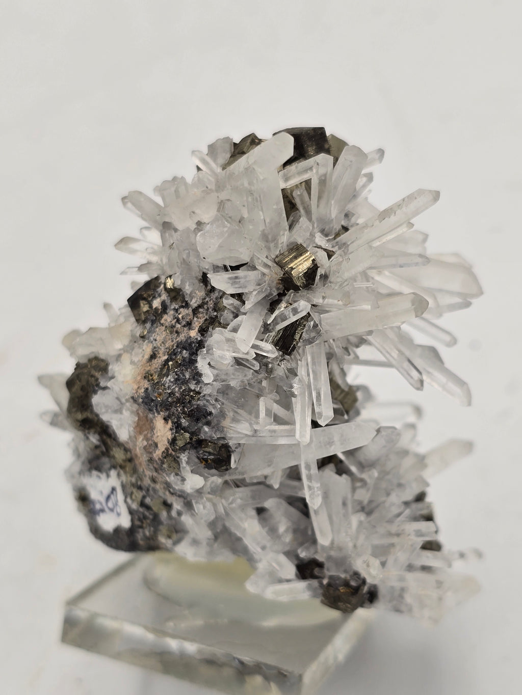 QUARTZ with PYRITE (small cabinet)