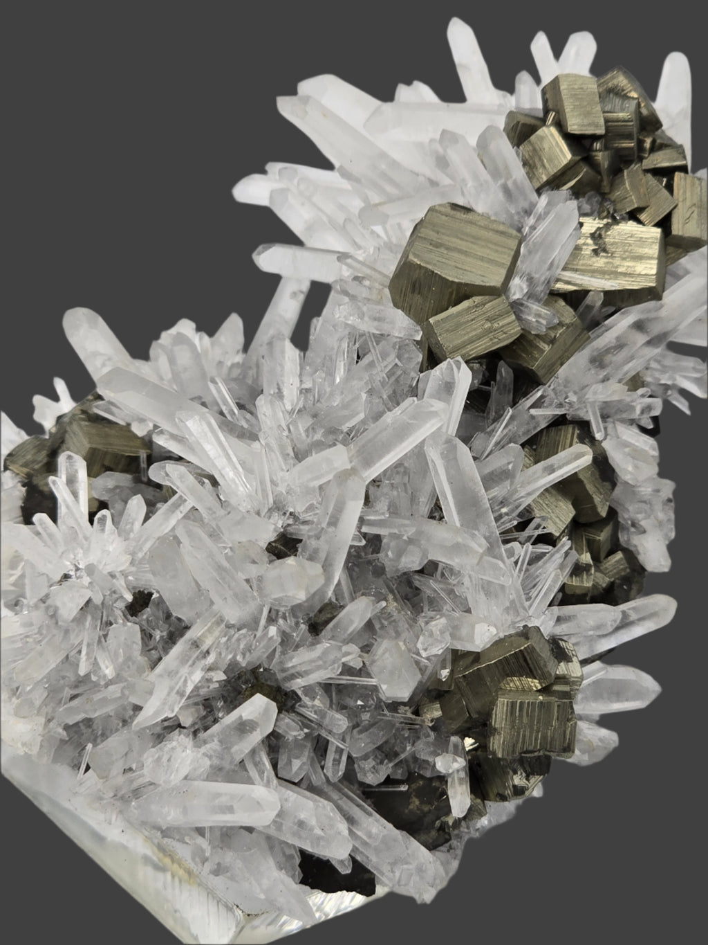 QUARTZ with PYRITE (small cabinet)