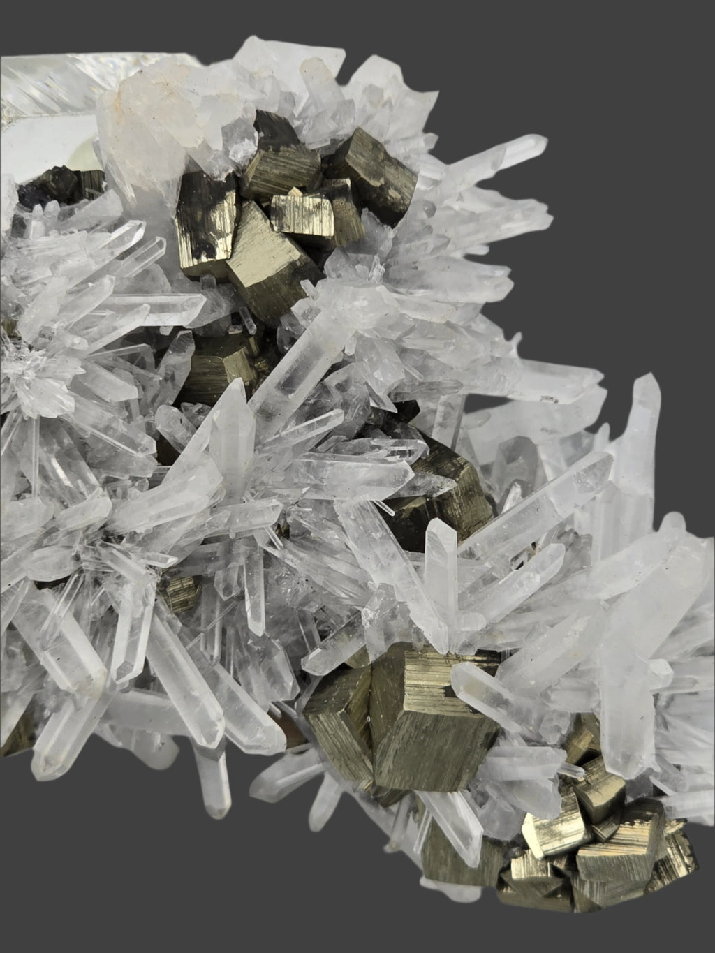 QUARTZ with PYRITE (small cabinet)