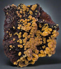 MIMETITE, MINERALES MEXICANOS MINE, LEVEL 14, SANTA EULALIA, CHIHUAHUA, MEXICO  (cabinet)