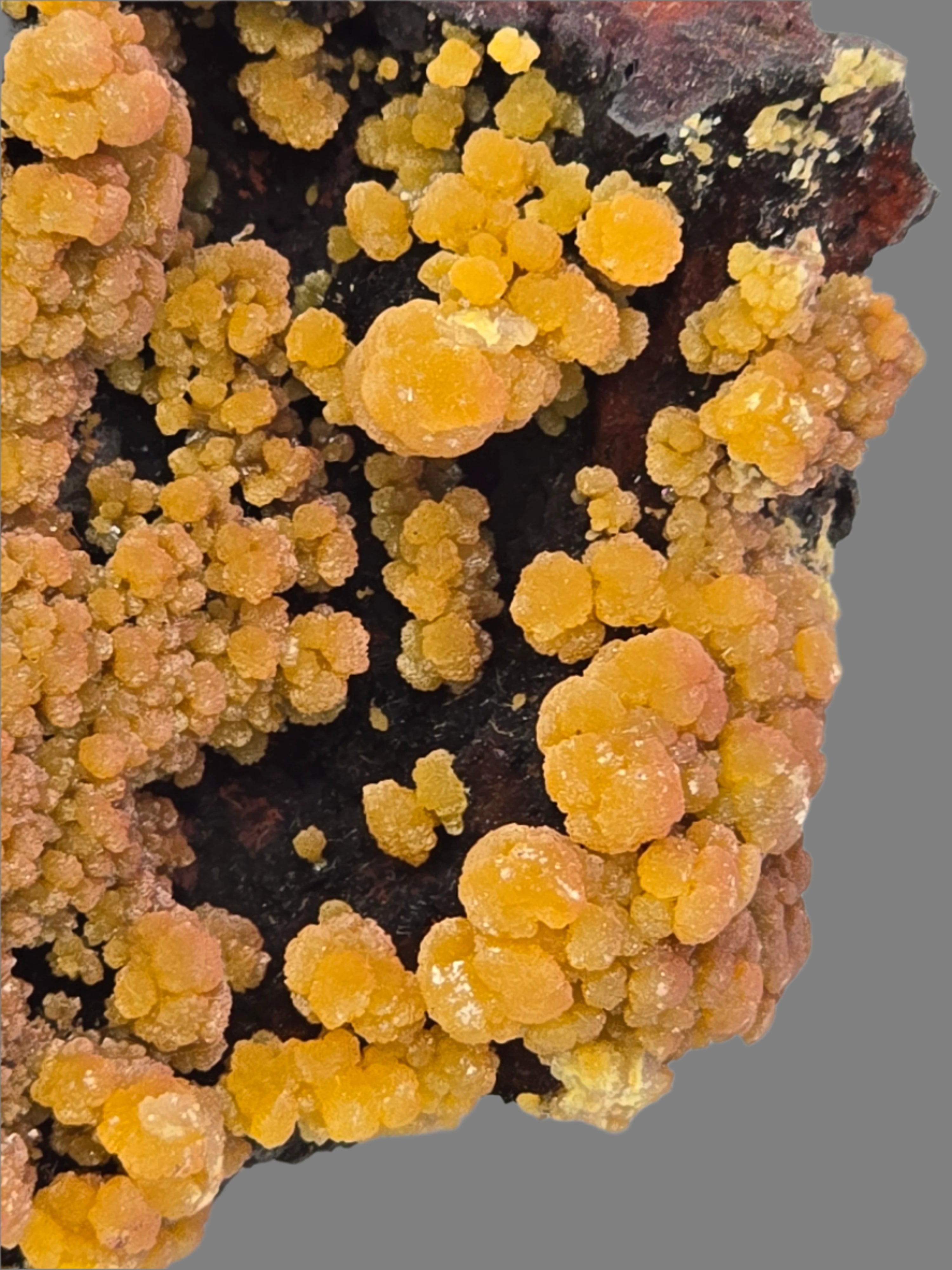 MIMETITE  (cabinet)