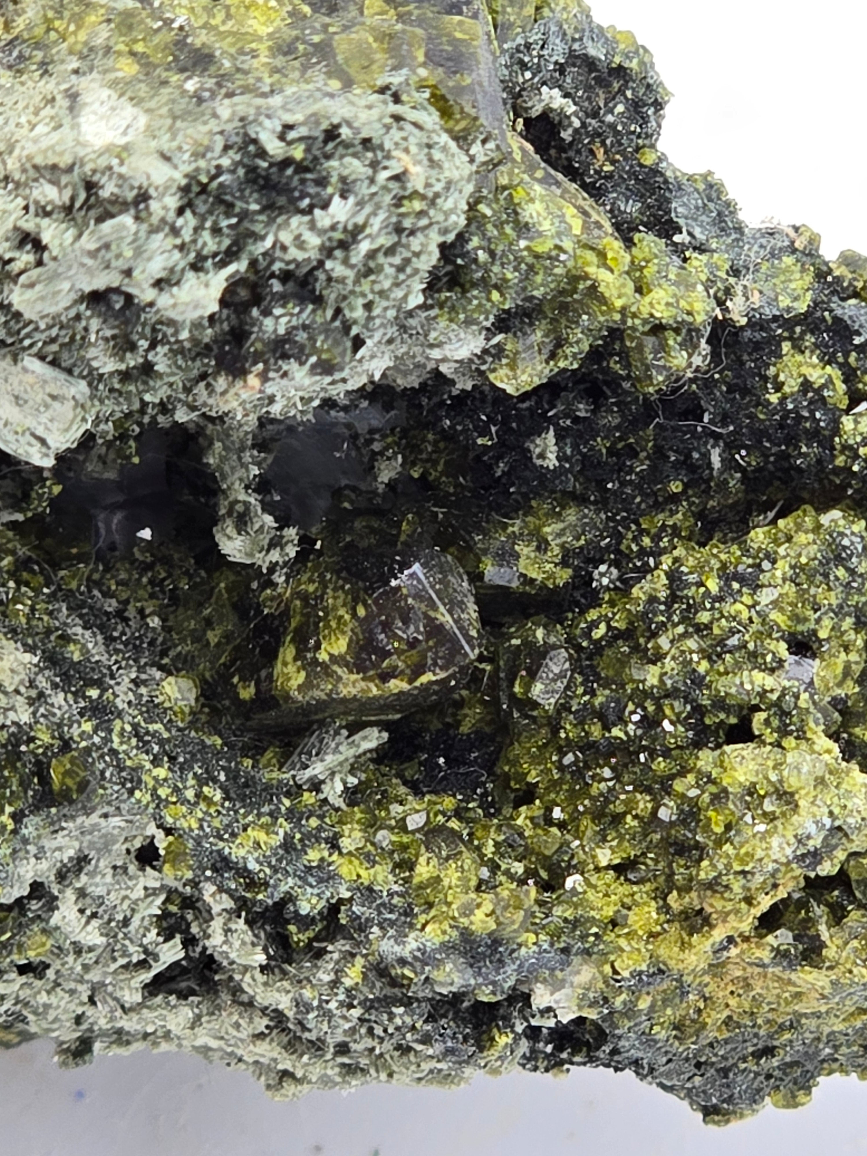 ACTINOLITE VARIETY URALITE (AFTER DIOPSIDE), QUARTZ (small cabinet)