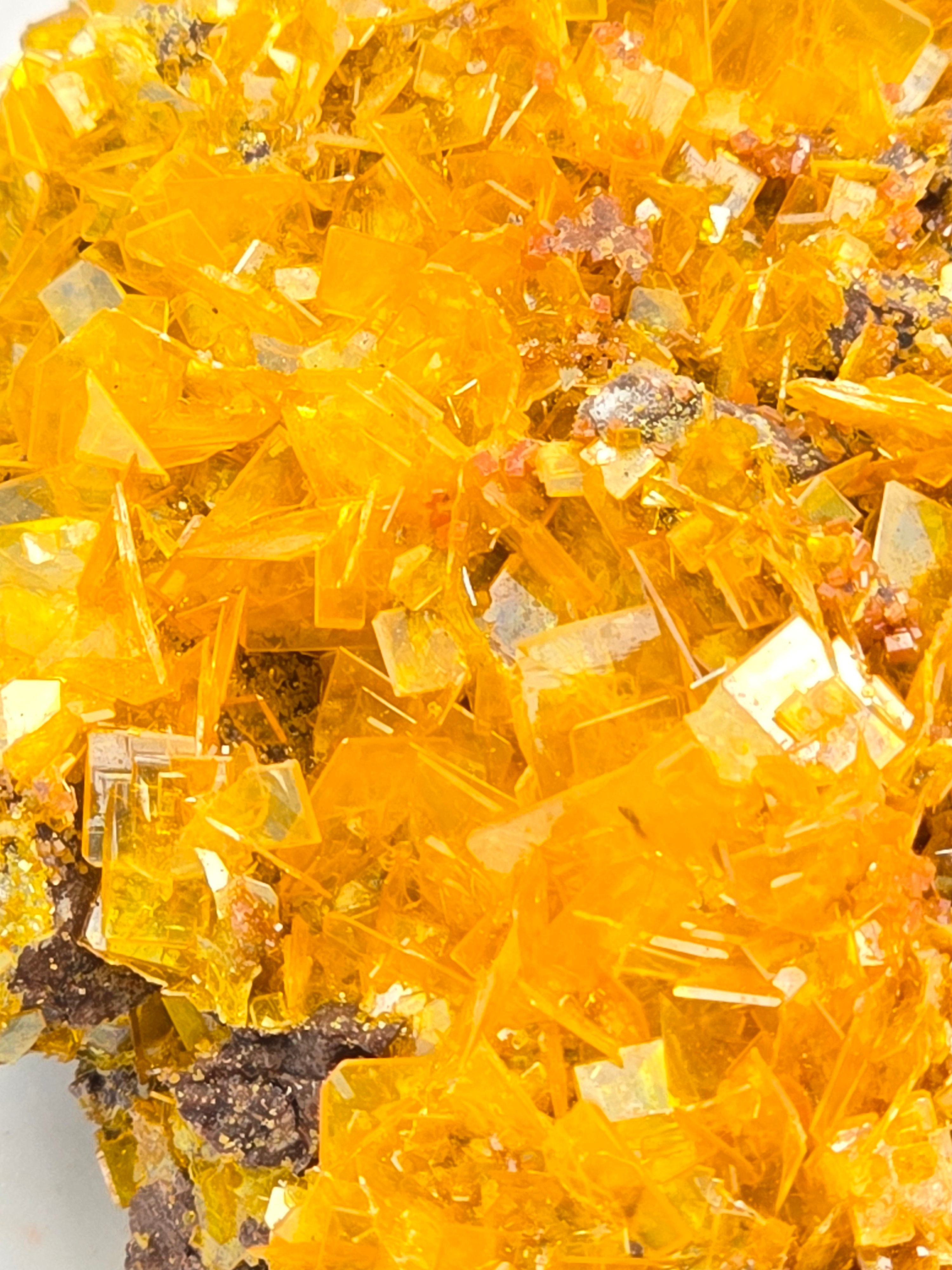 WULFENITE cabinet