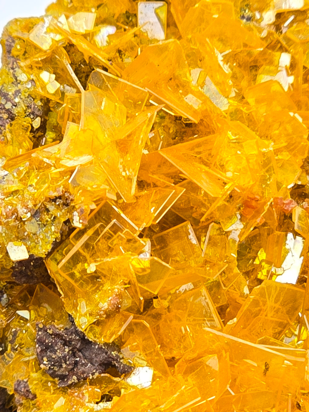 WULFENITE cabinet