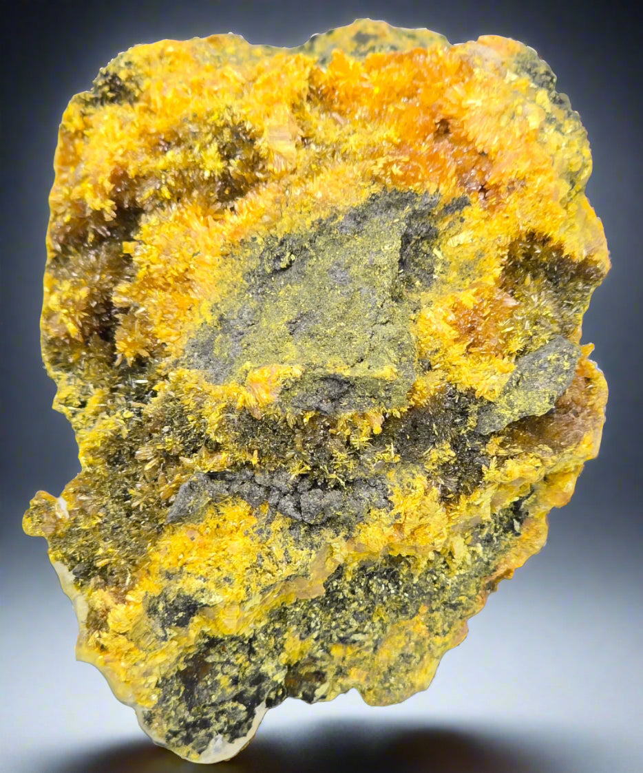 REALGAR (small cabinet)