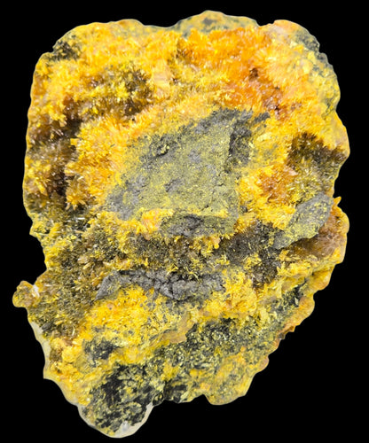 REALGAR