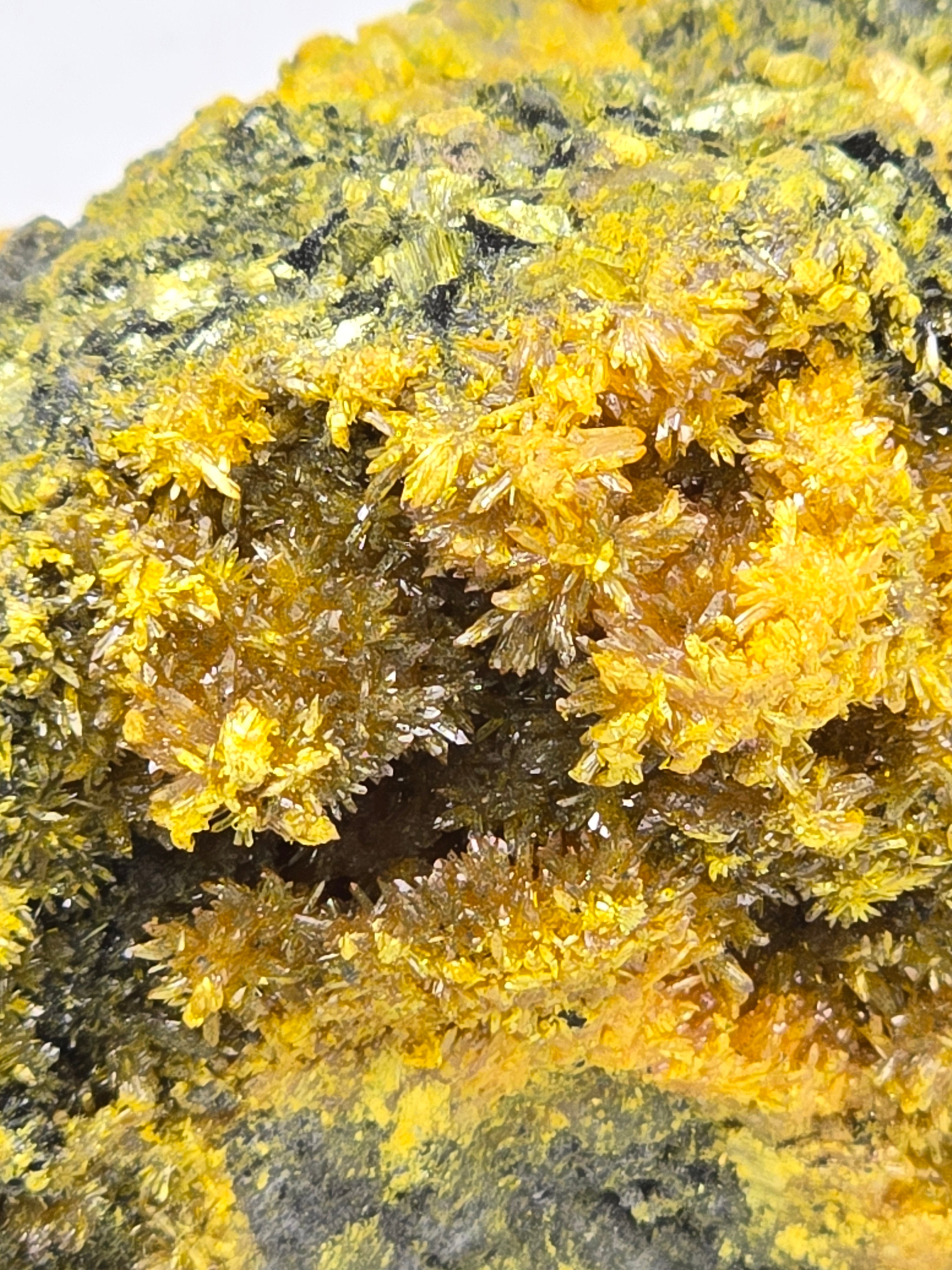 REALGAR (small cabinet)