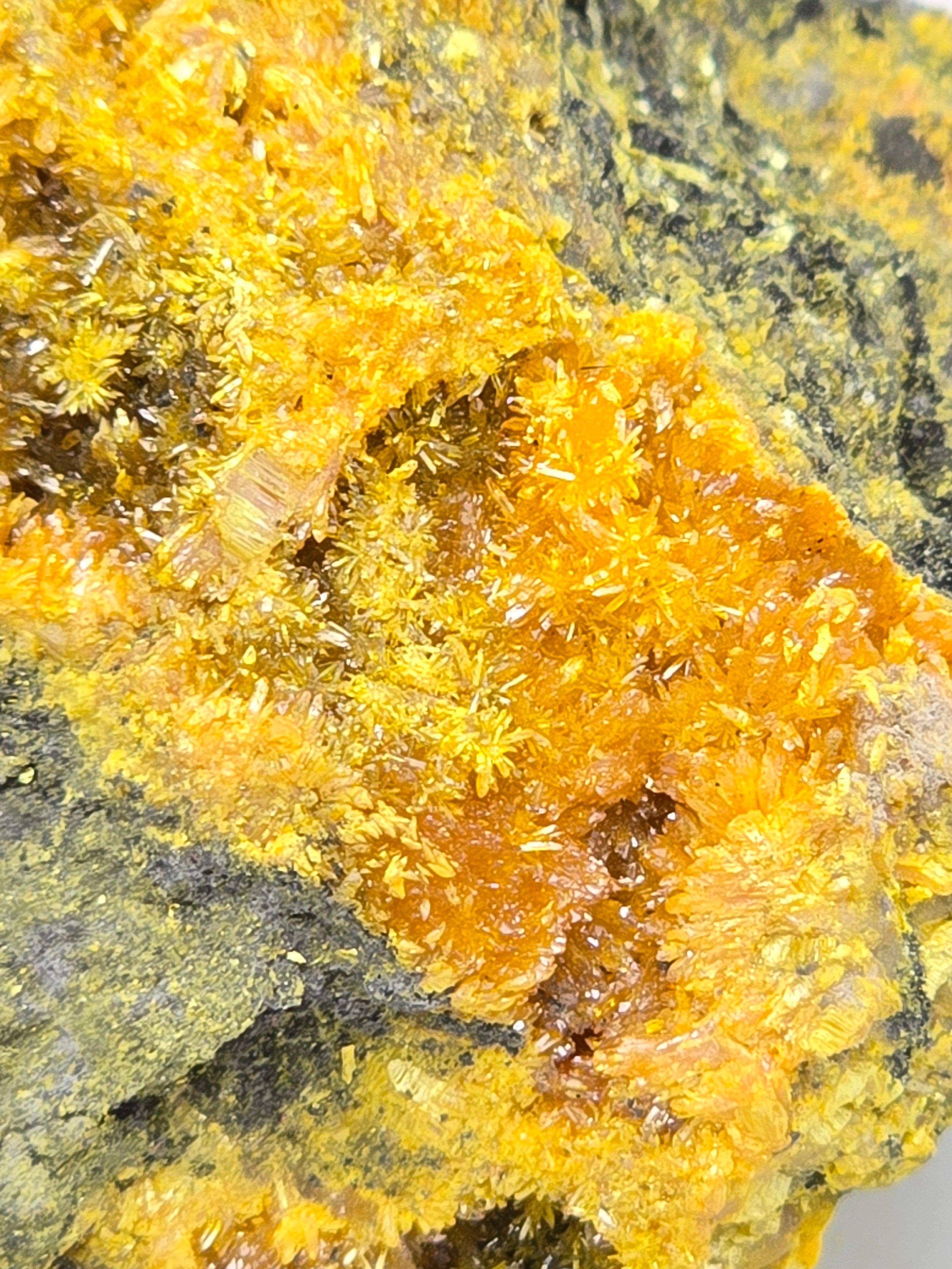 REALGAR (small cabinet)