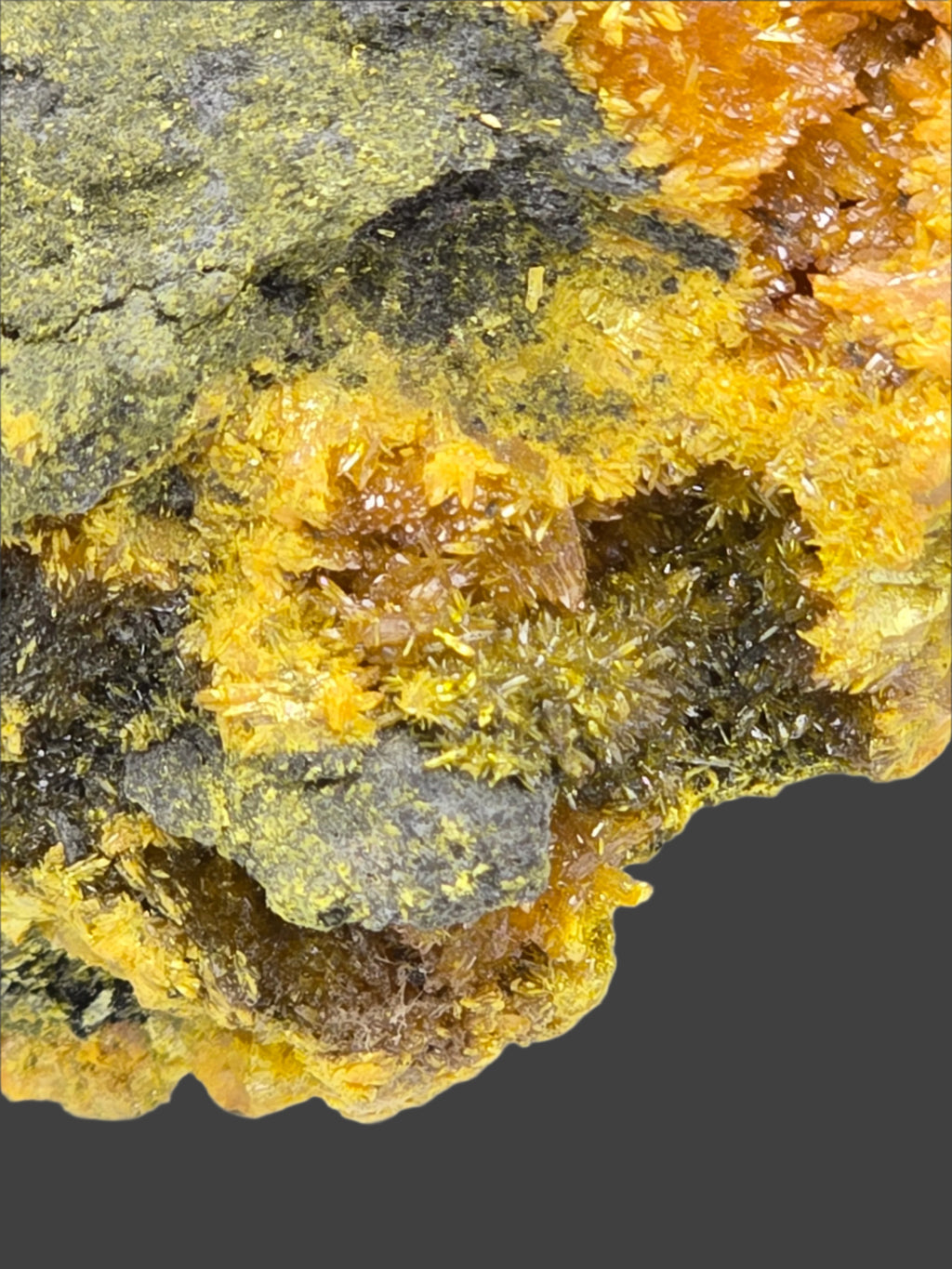 REALGAR (small cabinet)