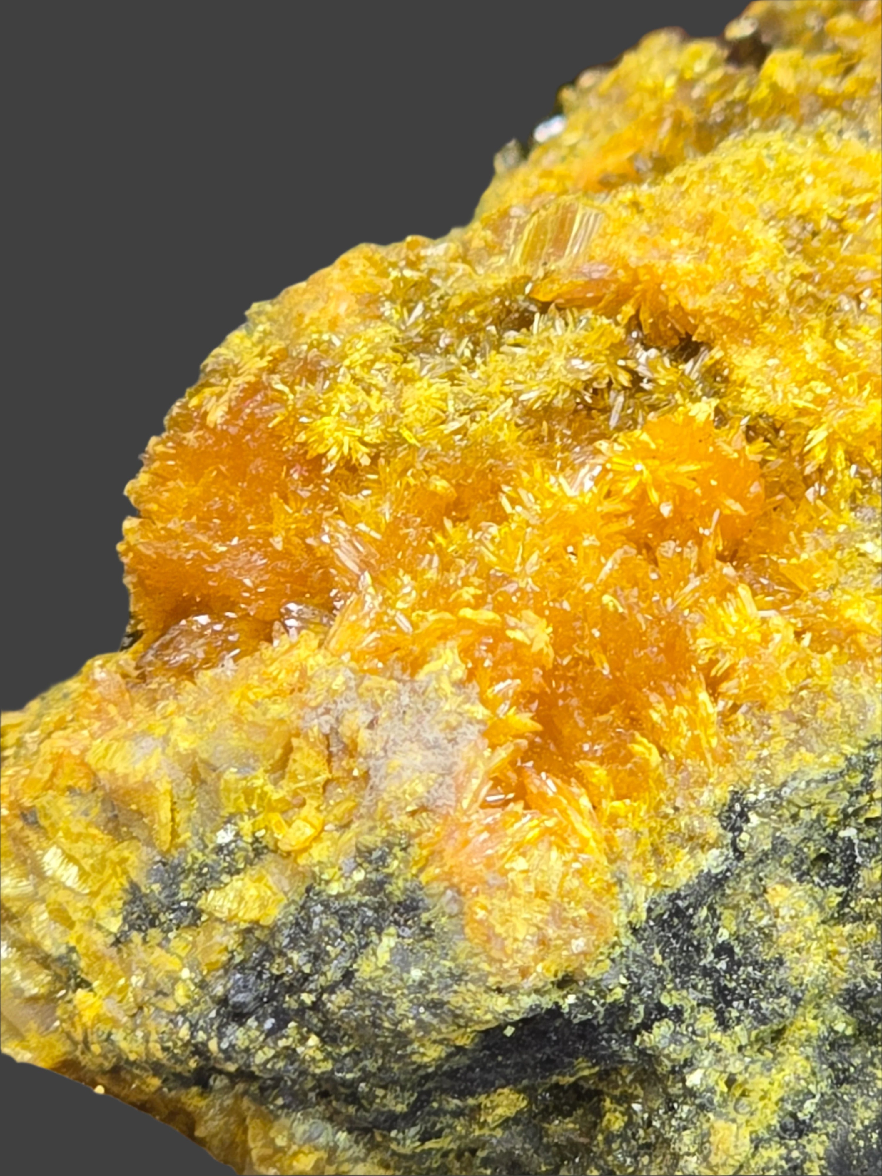 REALGAR (small cabinet)
