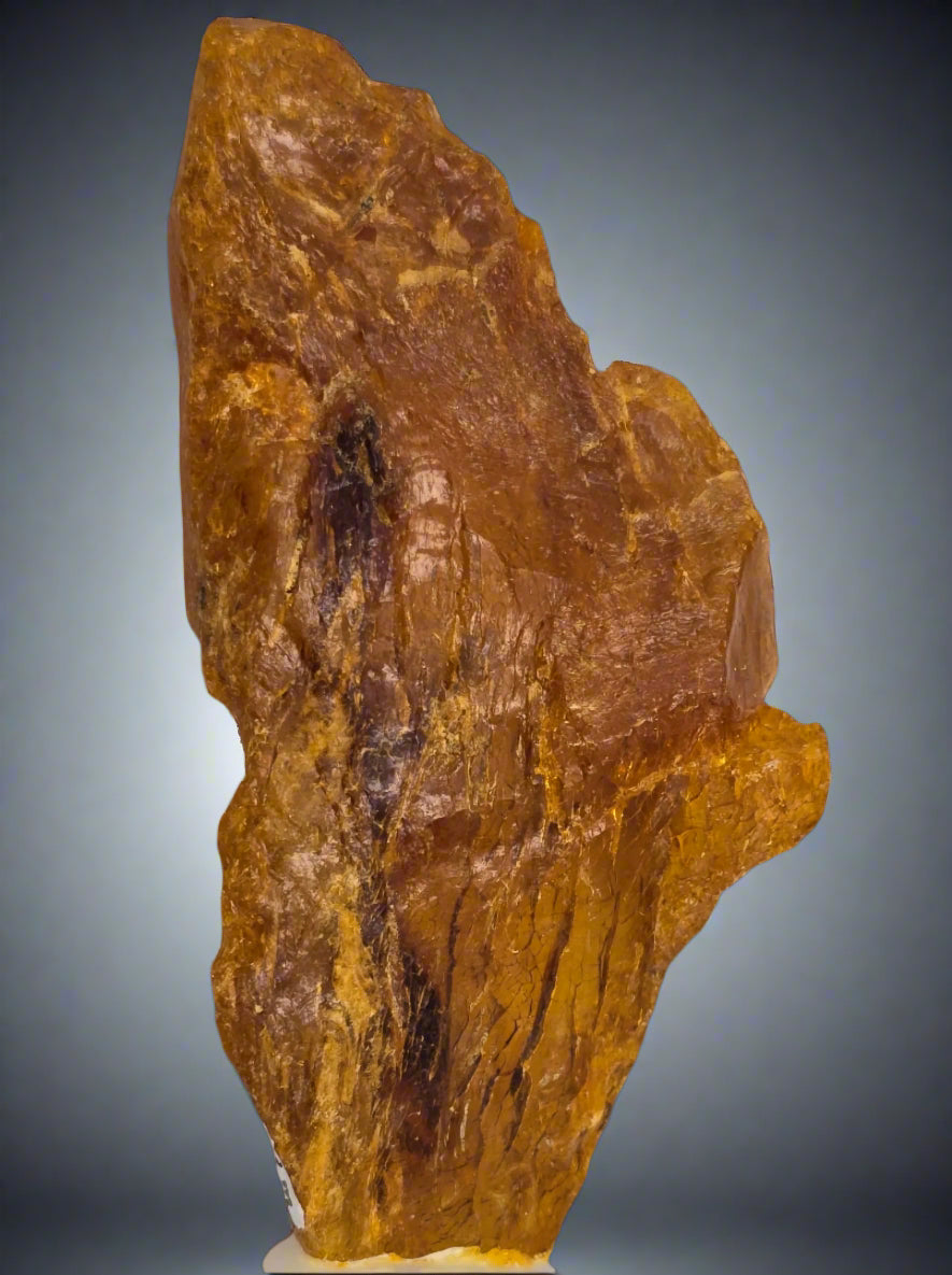 AMBER KAURI GUM, COPAL AMBER (small cabinet)