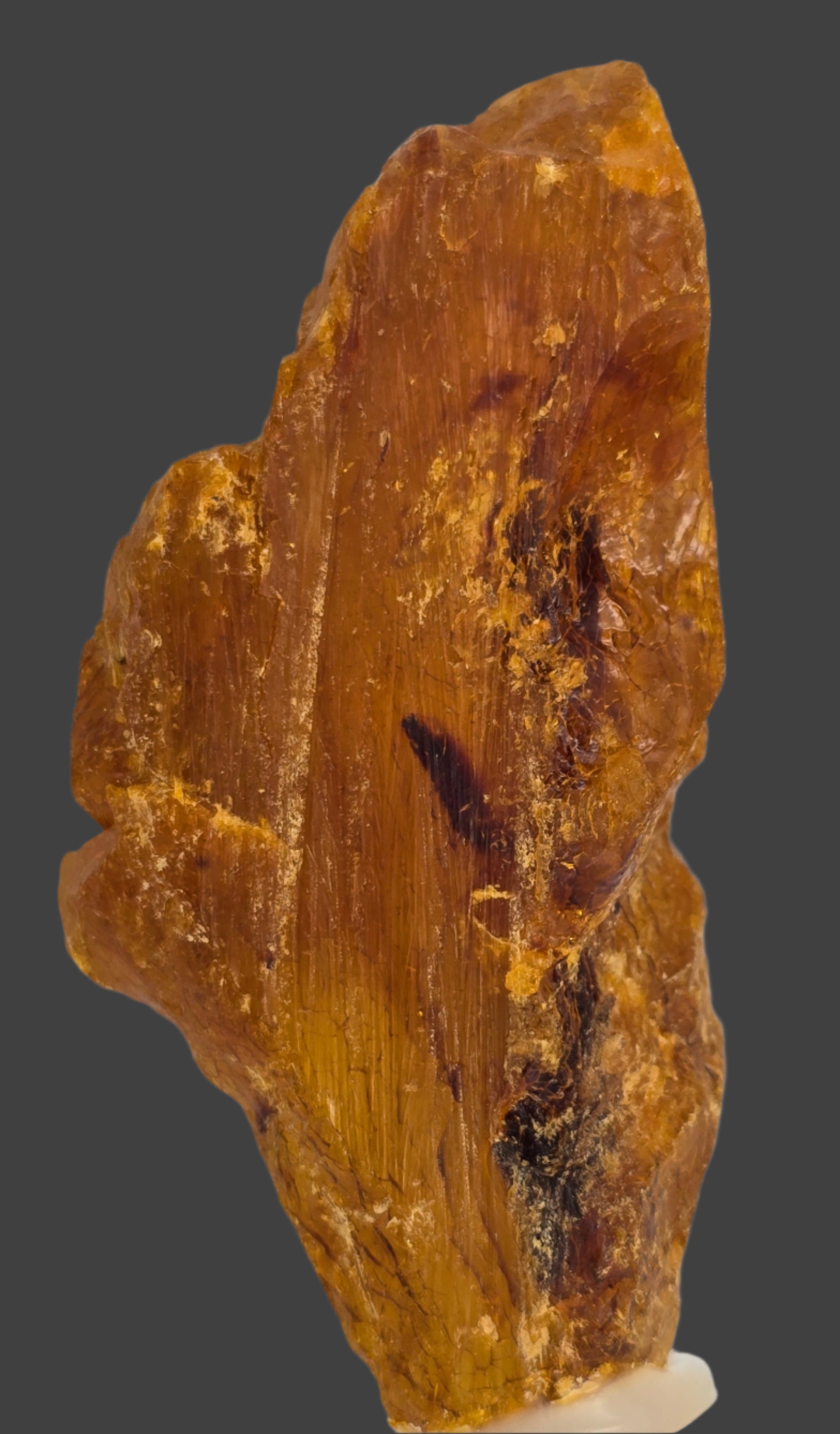 AMBER KAURI GUM, COPAL AMBER (small cabinet)