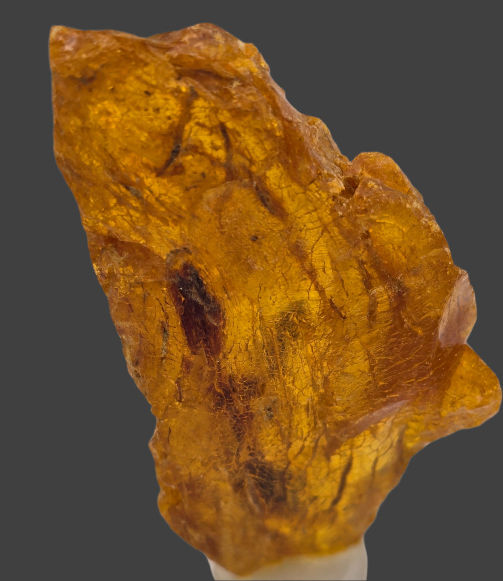 AMBER KAURI GUM, COPAL AMBER (small cabinet)