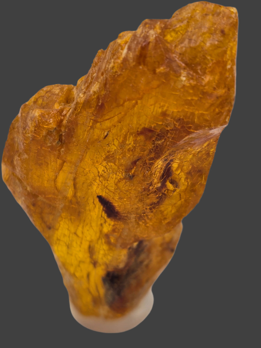 AMBER KAURI GUM, COPAL AMBER (small cabinet)