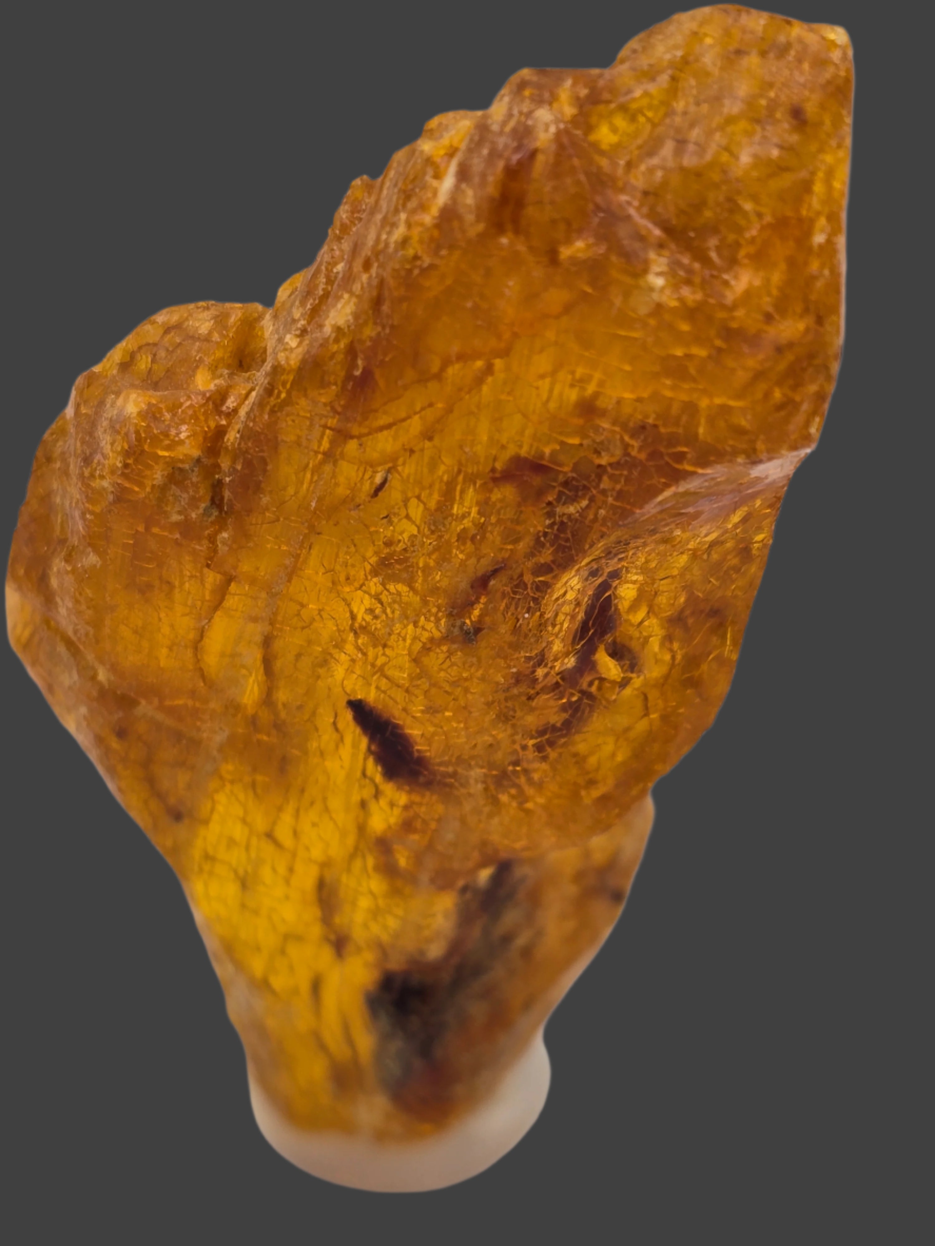 AMBER KAURI GUM, COPAL AMBER (small cabinet)