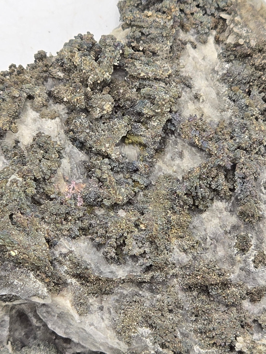 SAFFLORITE and SILVER (small cabinet)