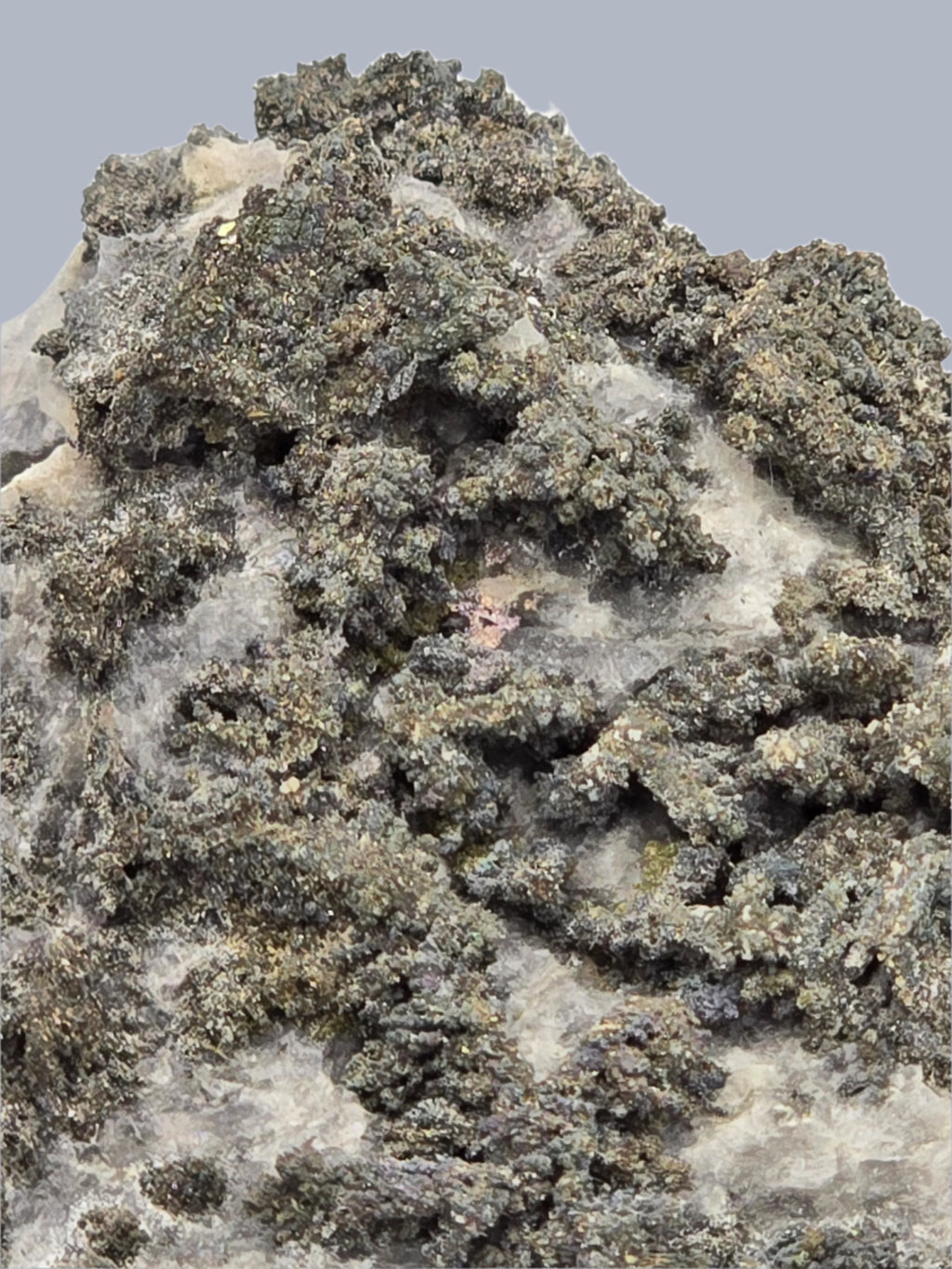 SAFFLORITE and SILVER (small cabinet)