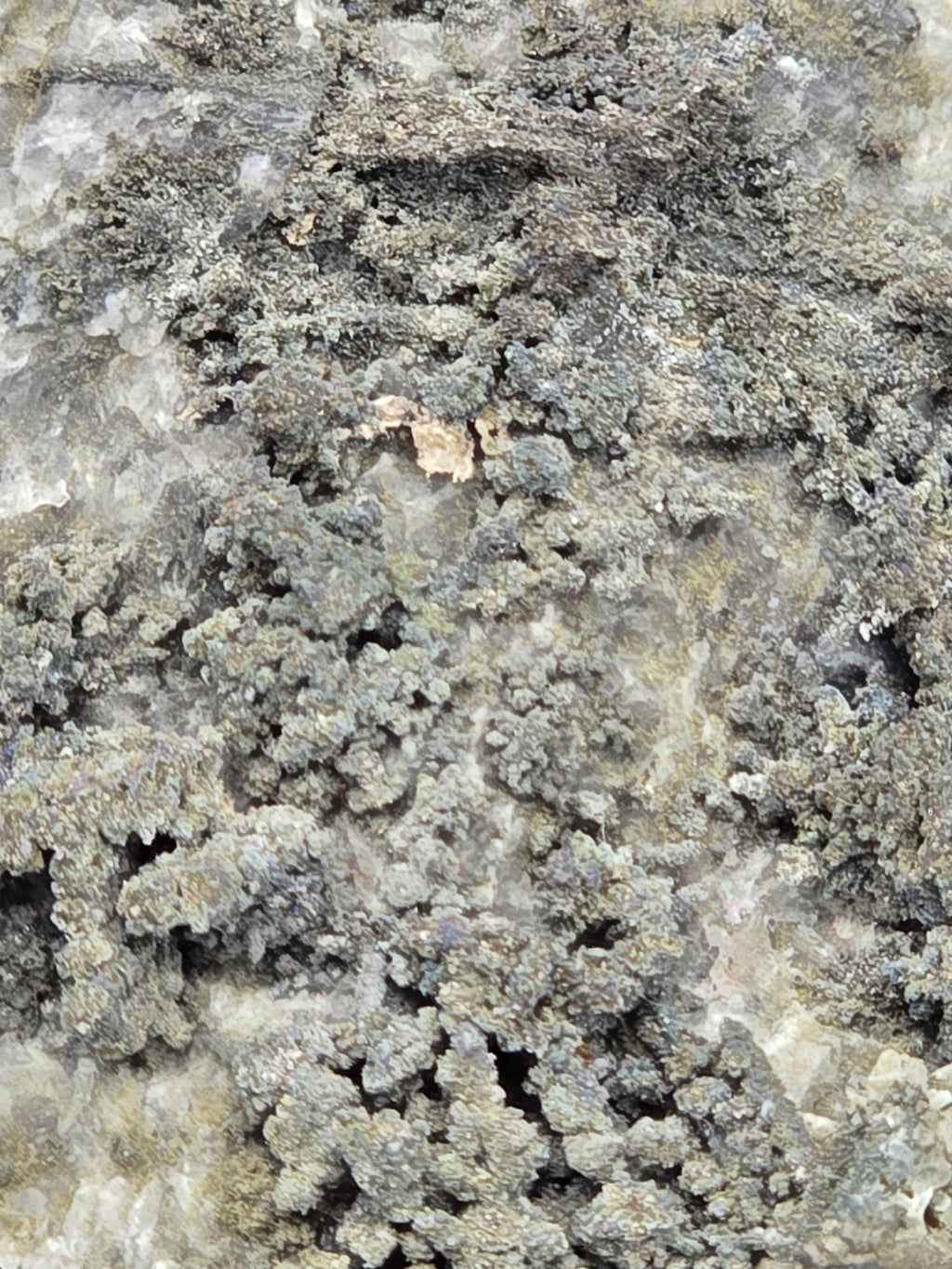 SAFFLORITE and SILVER (small cabinet)