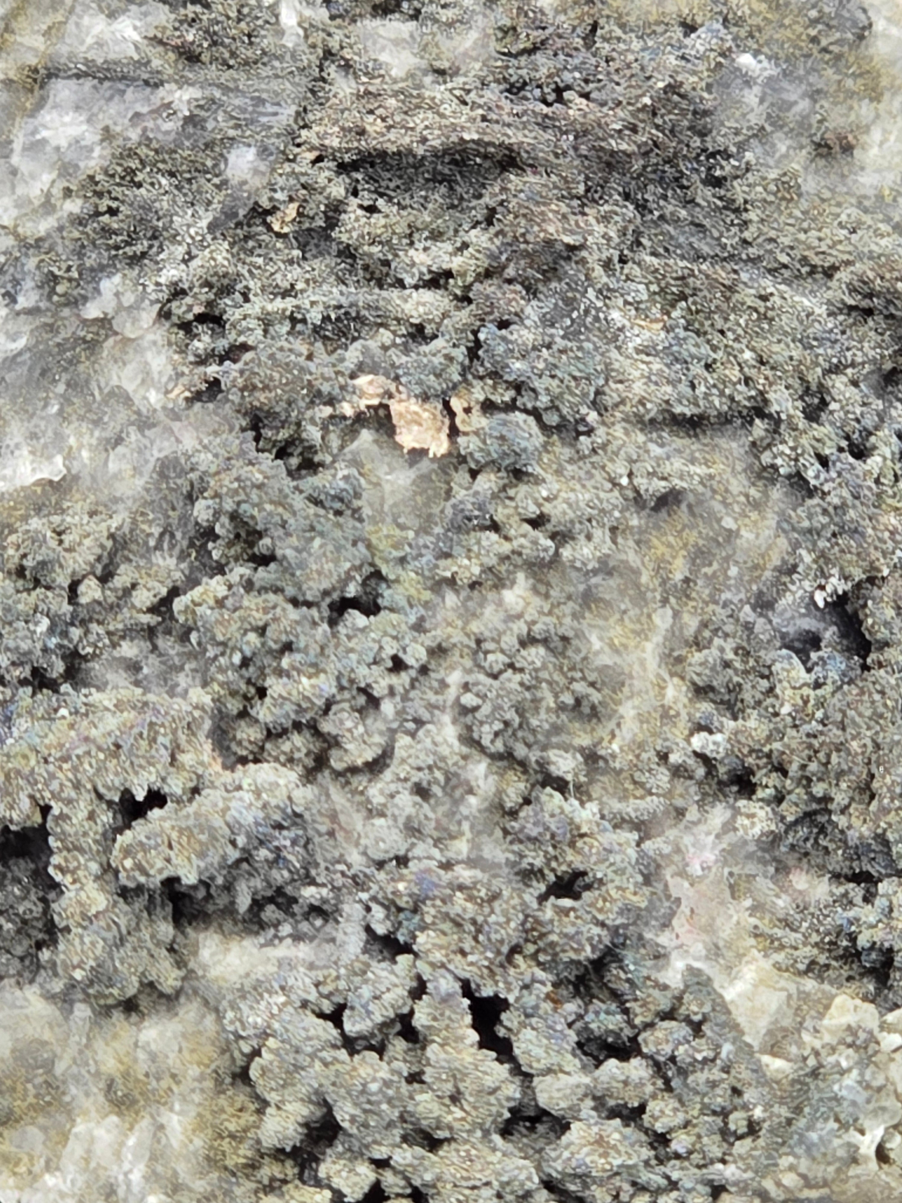 SAFFLORITE and SILVER (small cabinet)