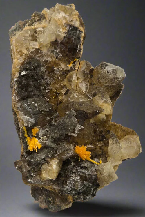 Crocoite from Tasmania, vibrant orange crystals on dark matrix, rare mineral specimen for collectors