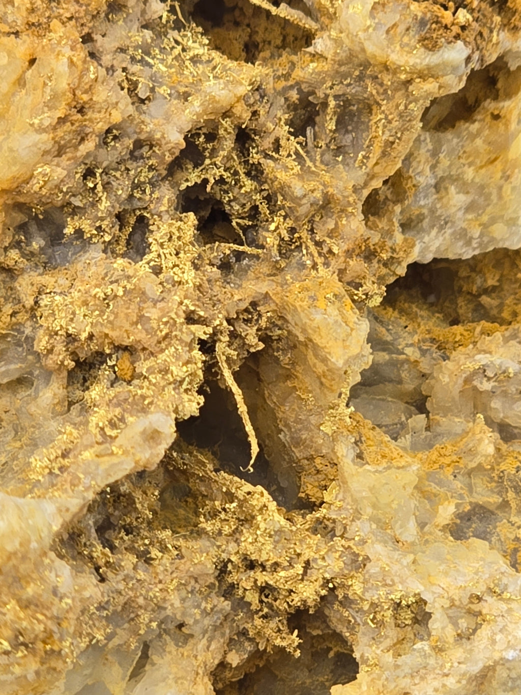 GOLD (WIRES) (cabinet)