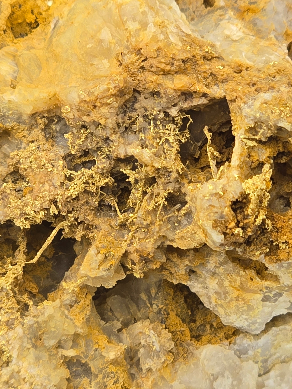 GOLD (WIRES) (cabinet)