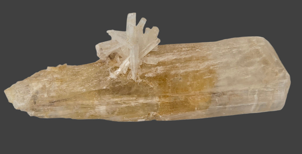 GYPSUM single crystal (small cabinet)