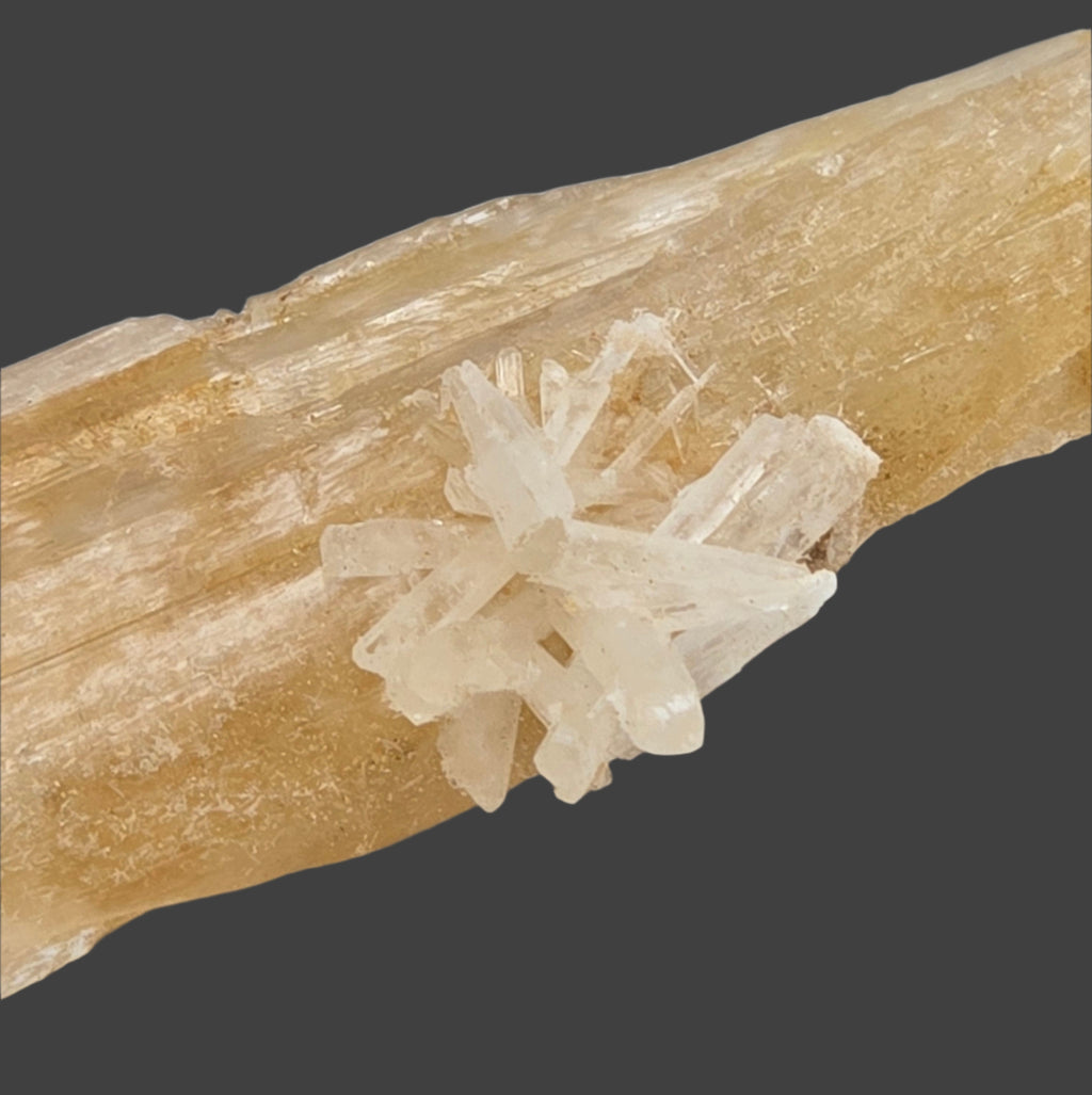GYPSUM single crystal (small cabinet)
