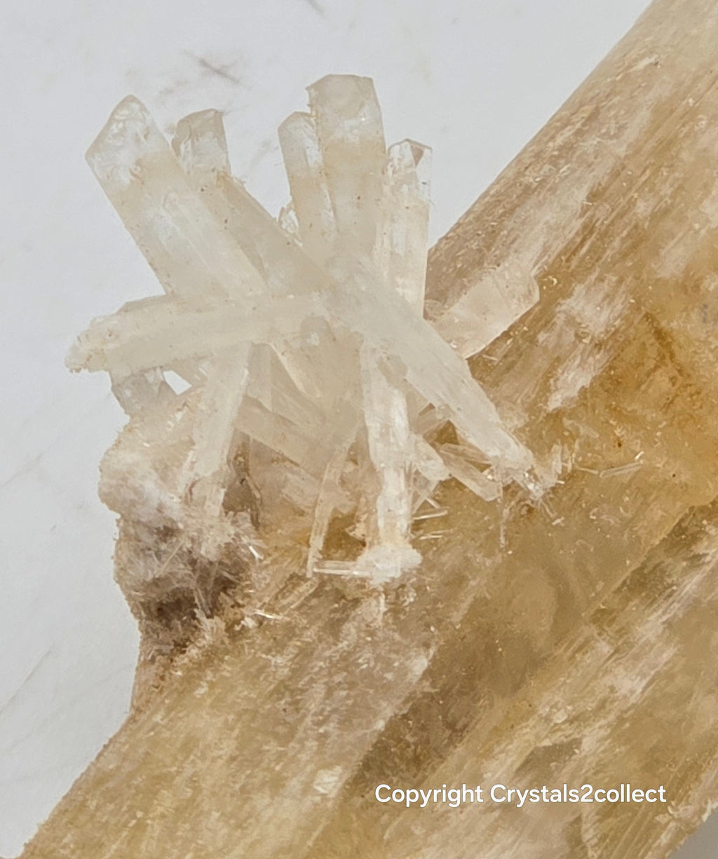 GYPSUM single crystal (small cabinet)