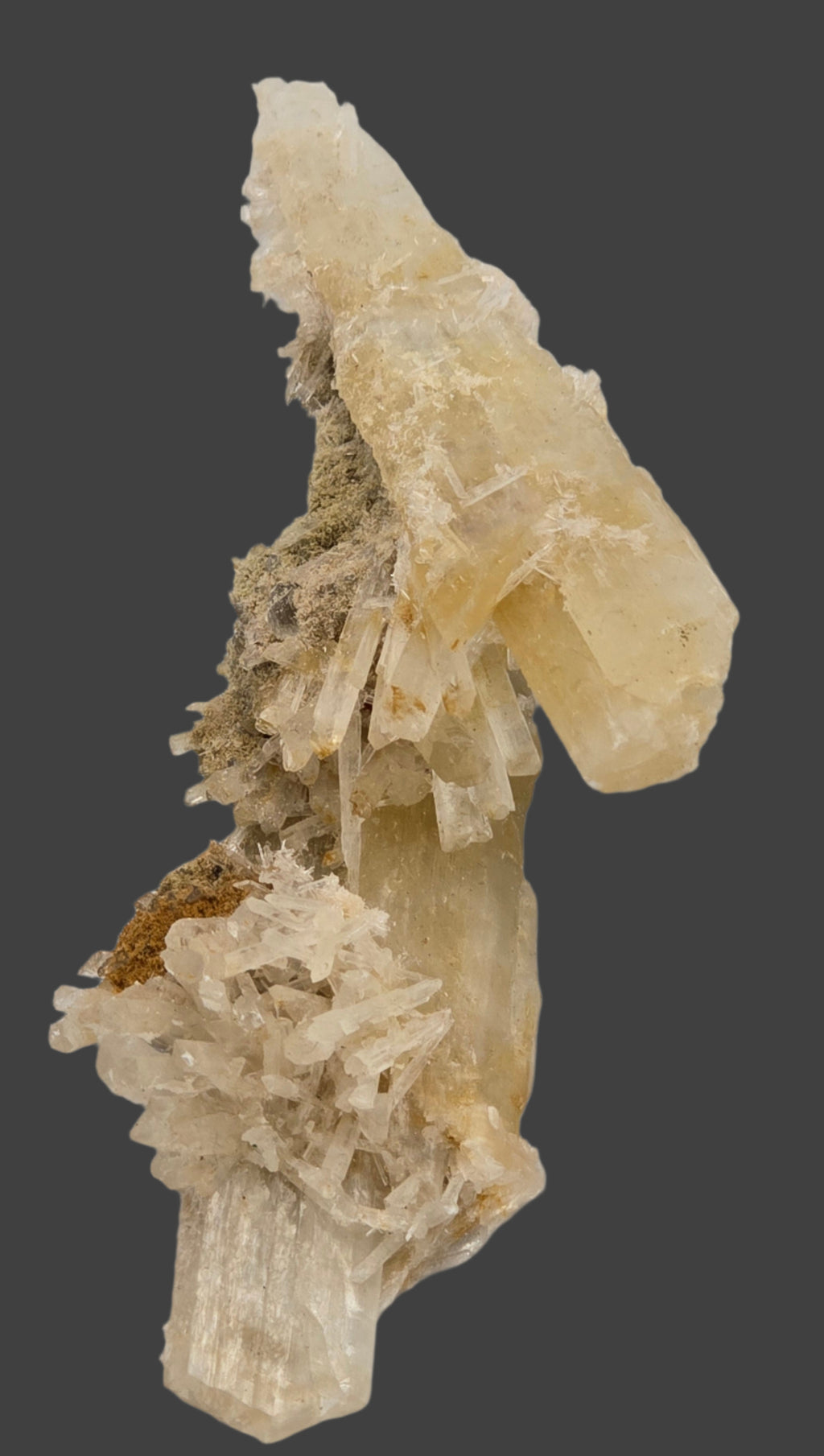 GYPSUM (cabinet)