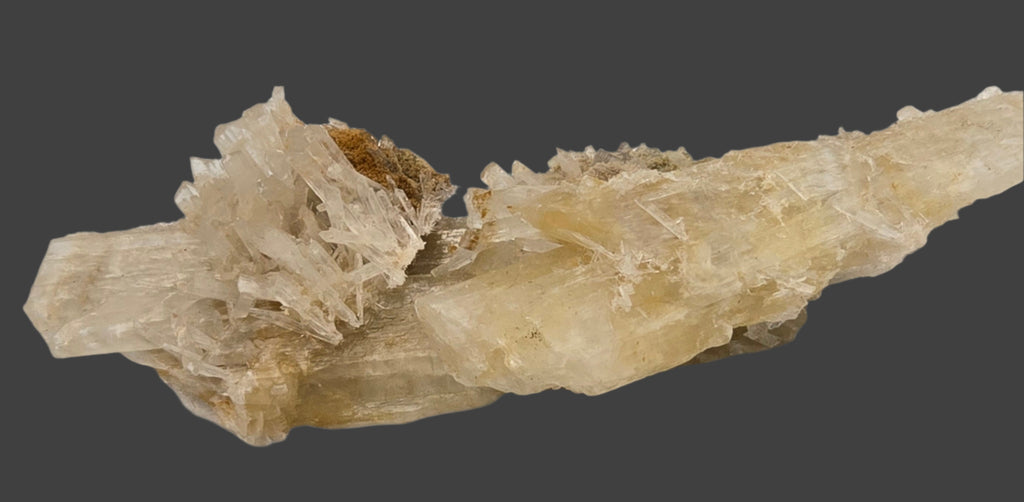 GYPSUM (cabinet)