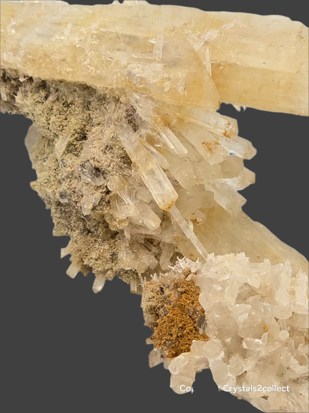 GYPSUM (cabinet)