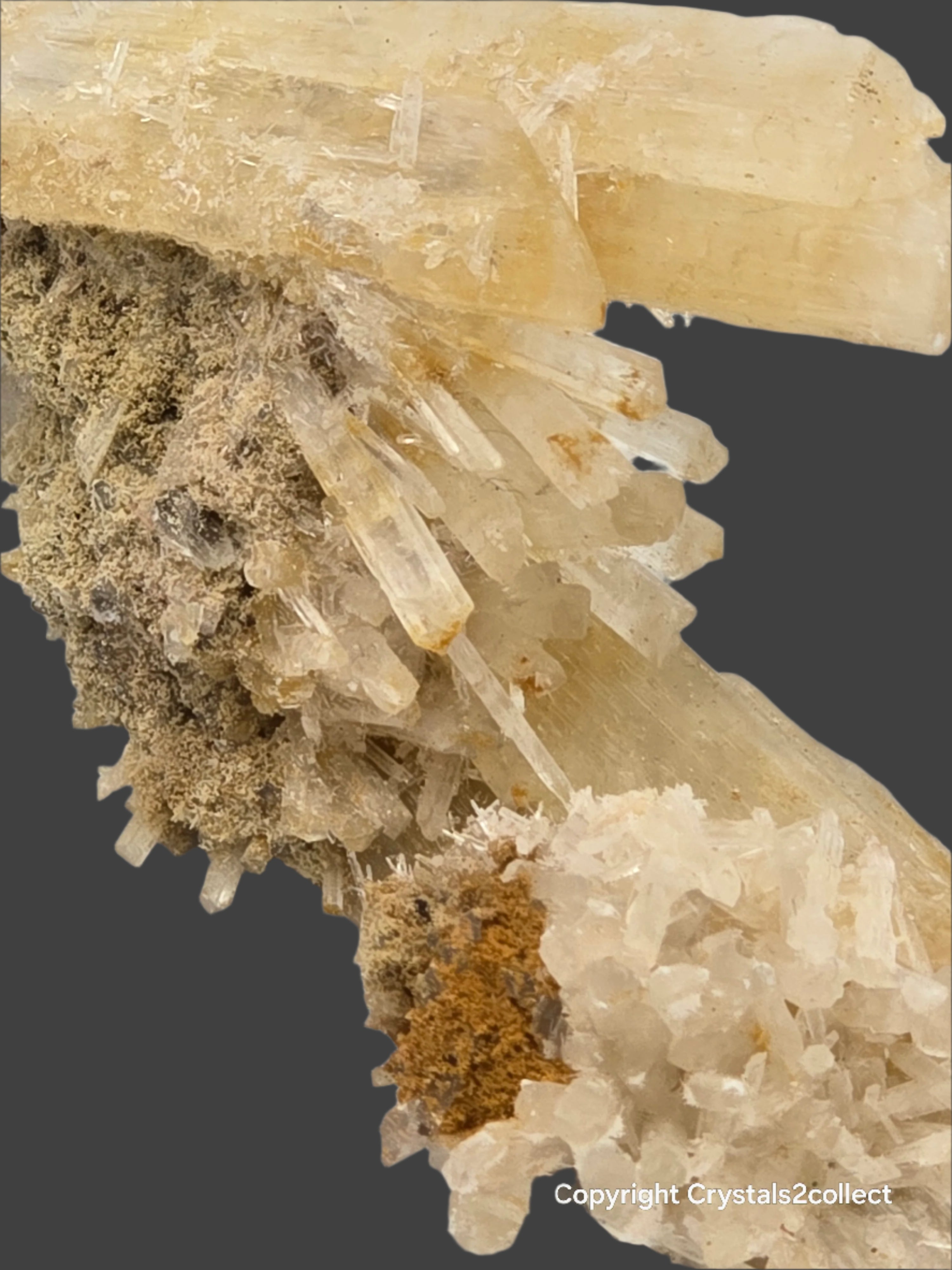 GYPSUM (cabinet)