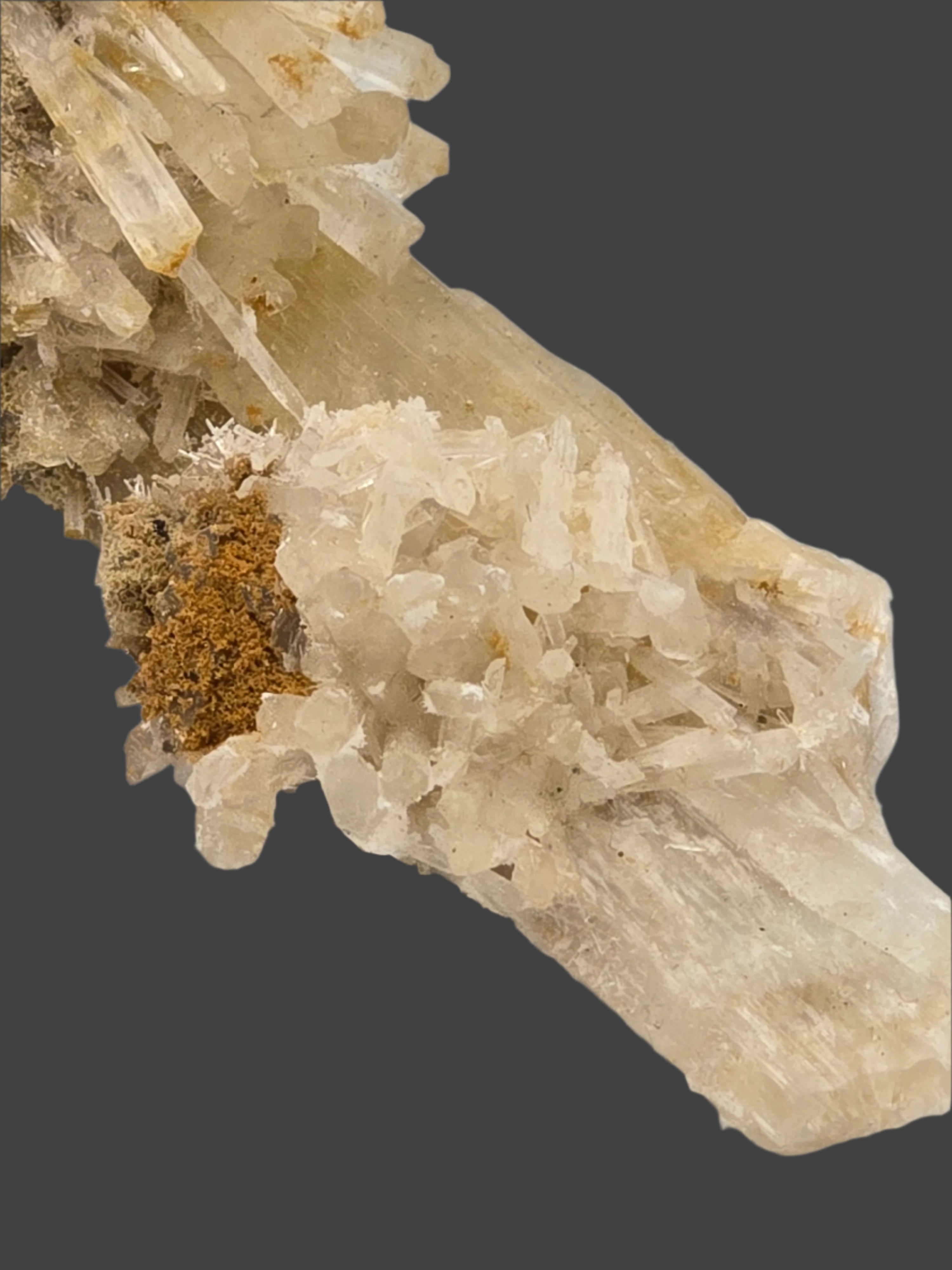 GYPSUM (cabinet)
