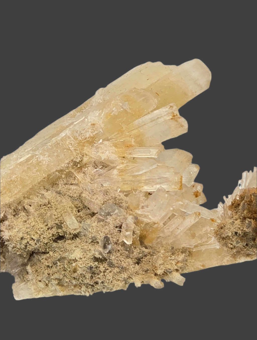 GYPSUM (cabinet)