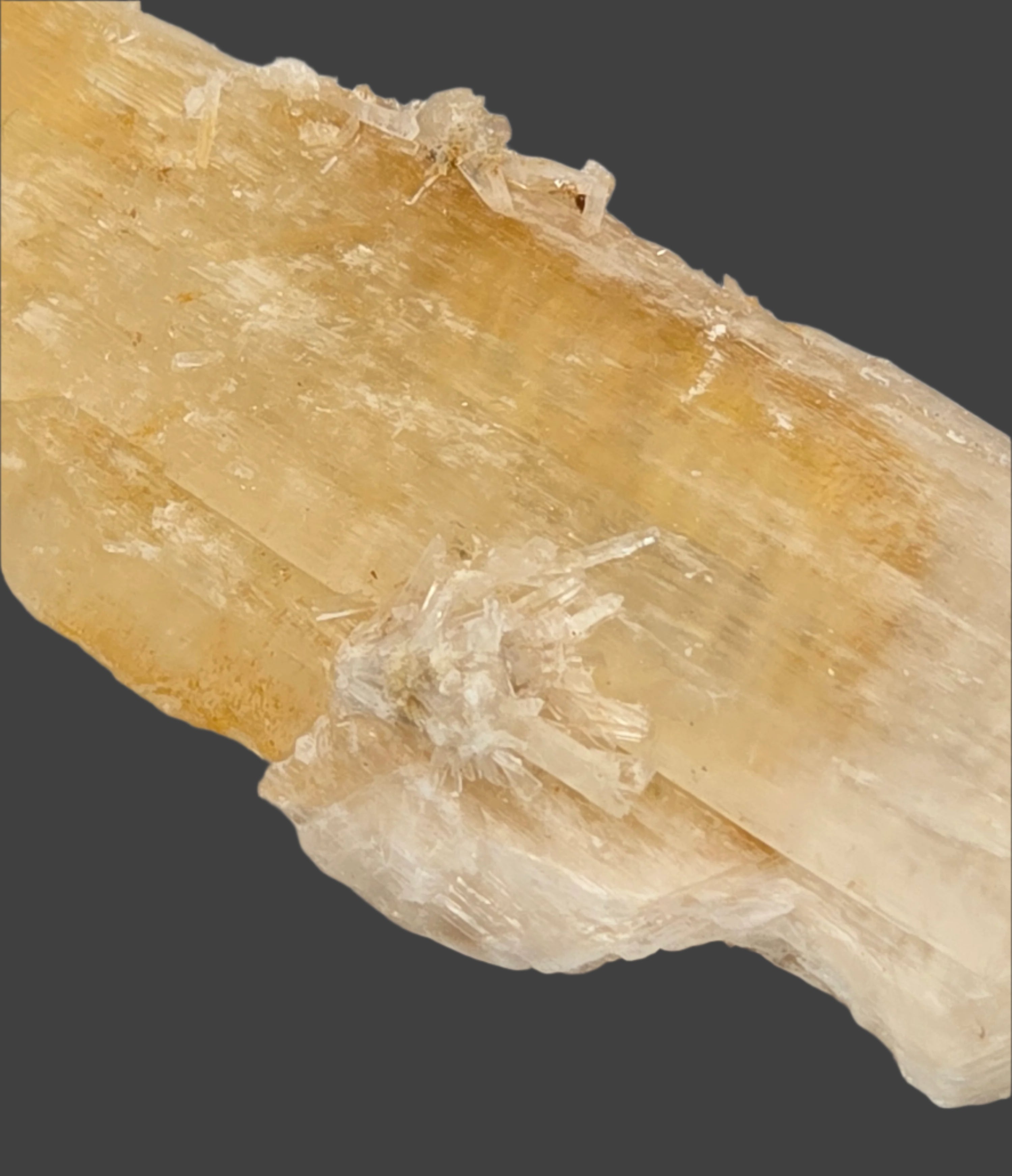 GYPSUM single crystal (small cabinet)