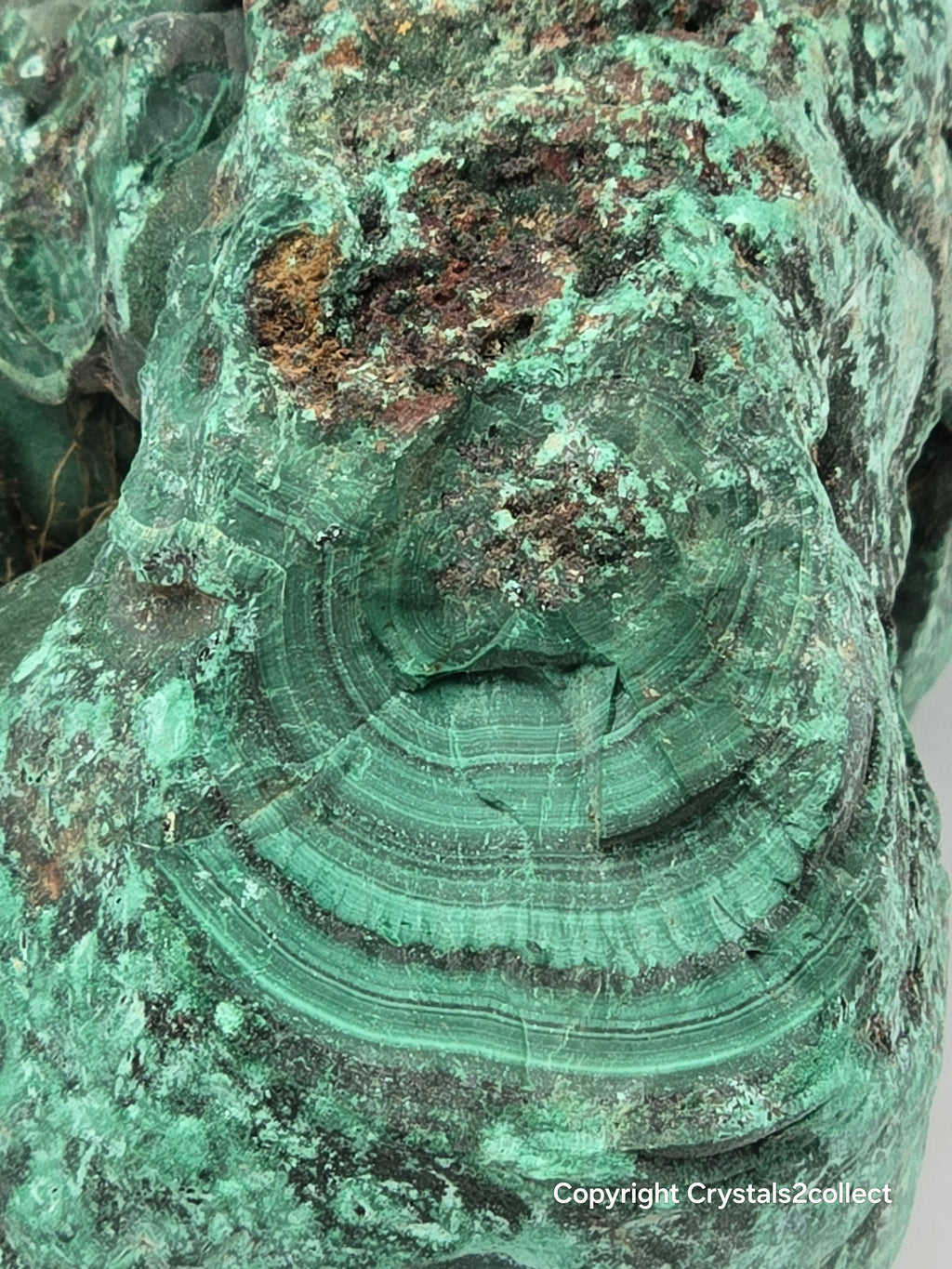 MALACHITE (LARGE NODULE) (large cabinet)