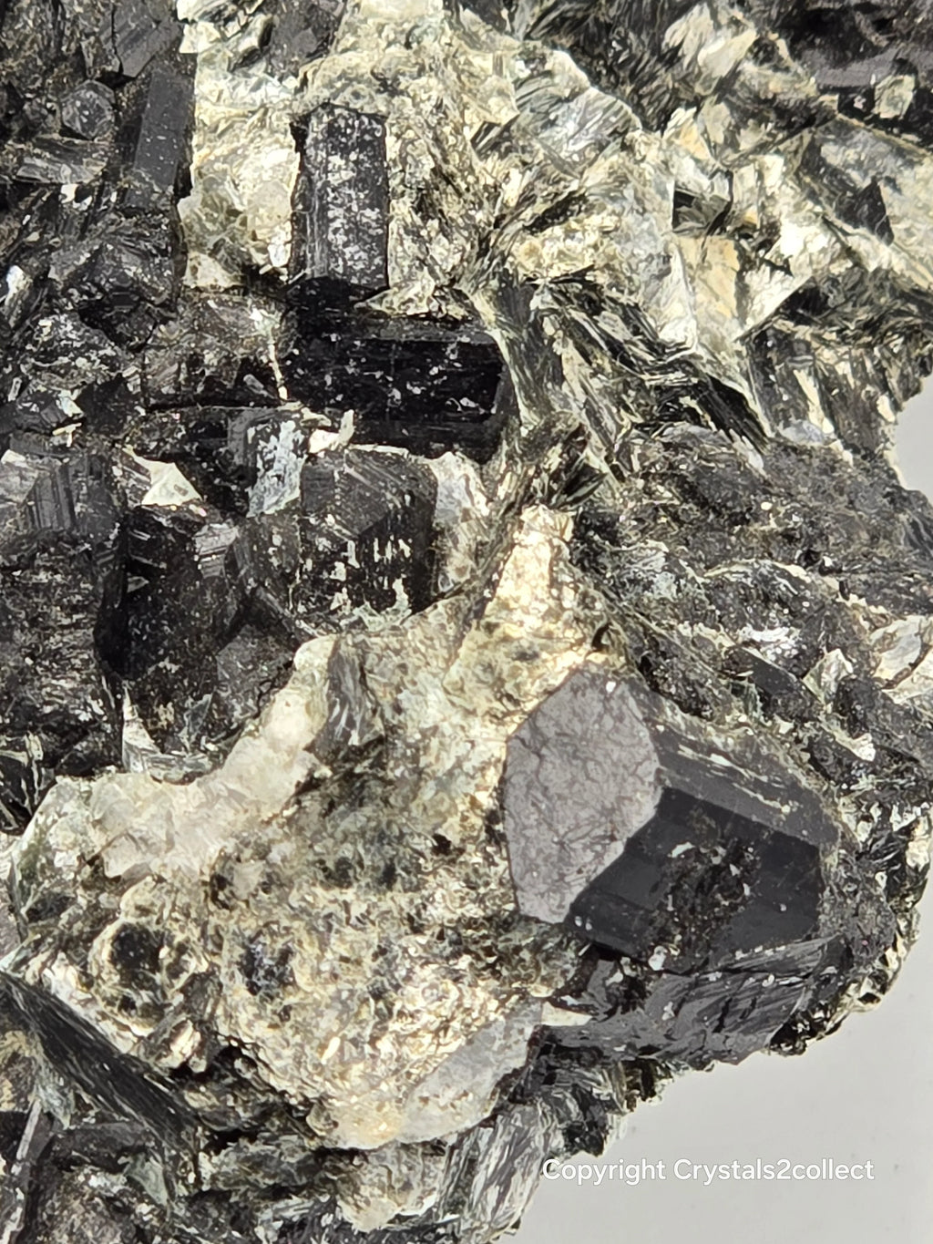 Black tourmaline crystals on matrix, mineral specimen for collectors
