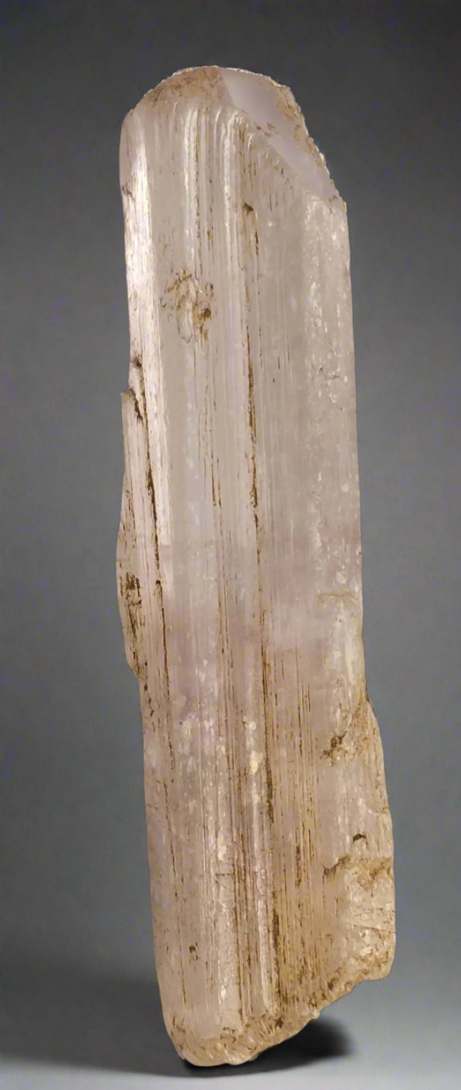 DANBURITE, CHARCAS, SAN LUIS, POTOSI, MEXIQUE (petite armoire)