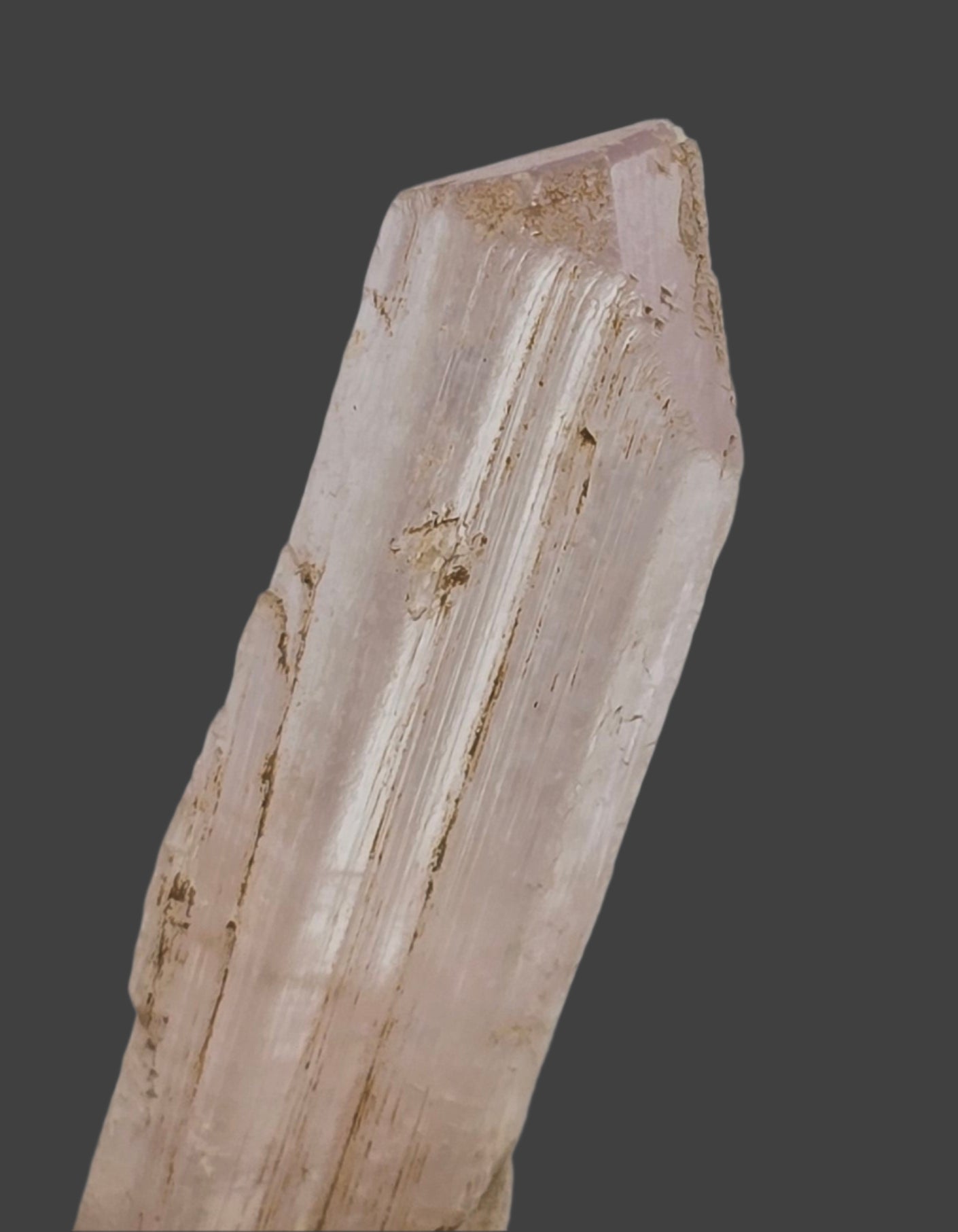 DANBURITE, CHARCAS, SAN LUIS, POTOSI, MEXIQUE (petite armoire)
