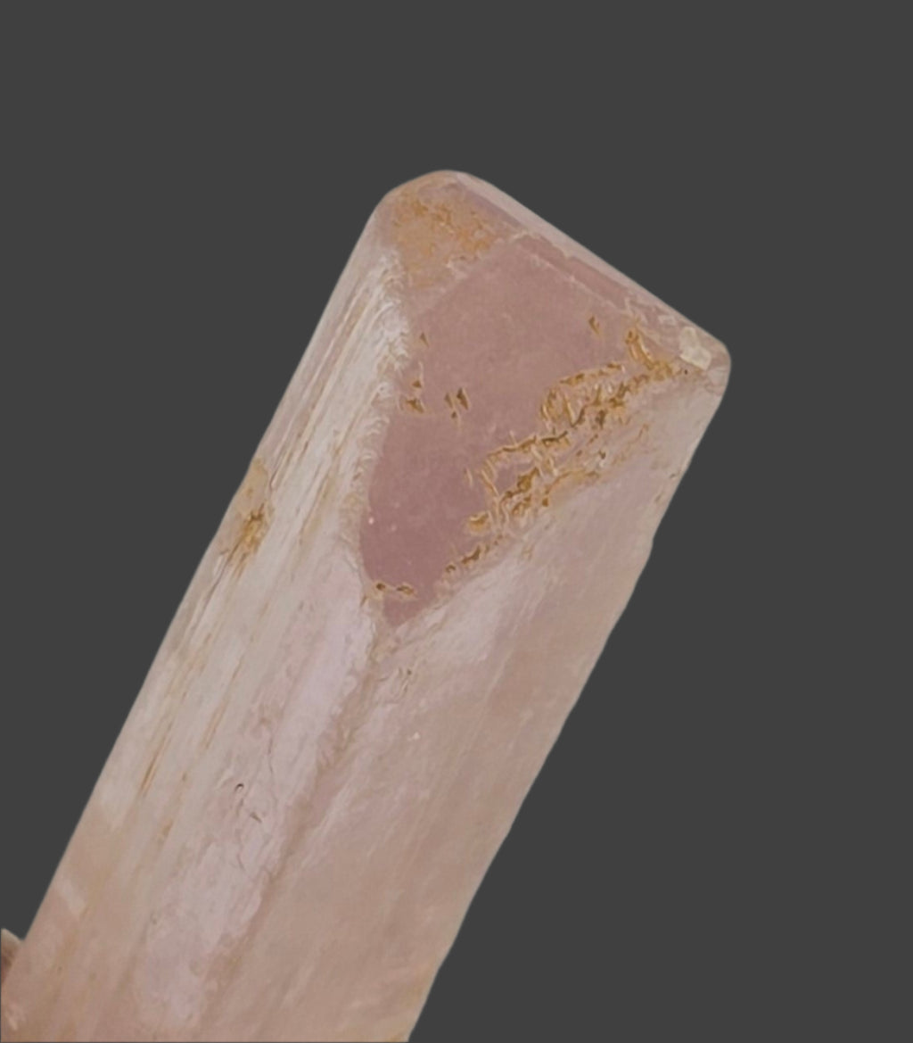 DANBURITE, CHARCAS, SAN LUIS, POTOSI, MEXIQUE (petite armoire)