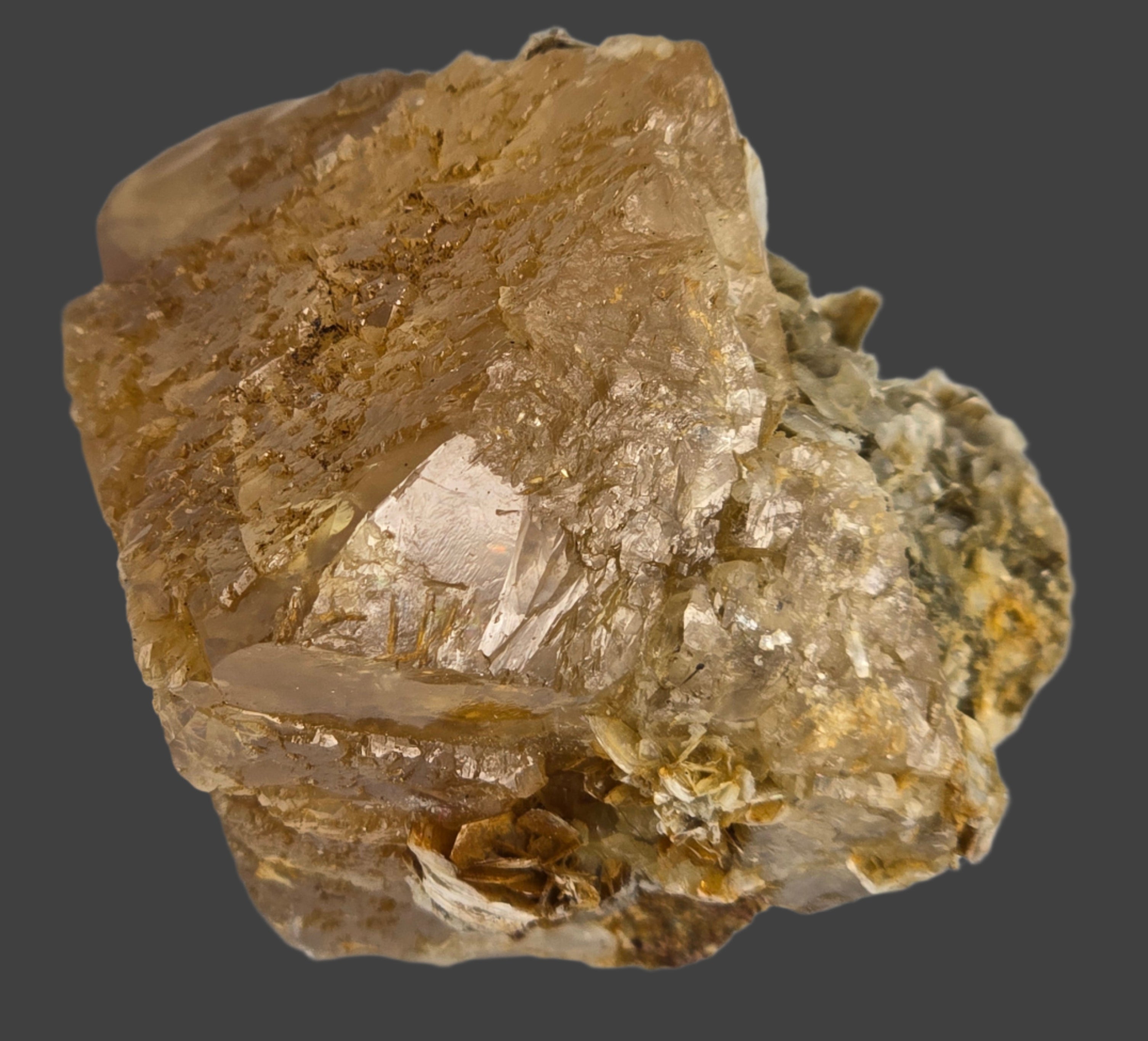 SCHEELITE (single crystal) with MUSCOVITE (small cabinet)