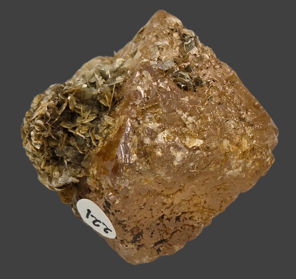 SCHEELITE (single crystal) with MUSCOVITE (small cabinet)