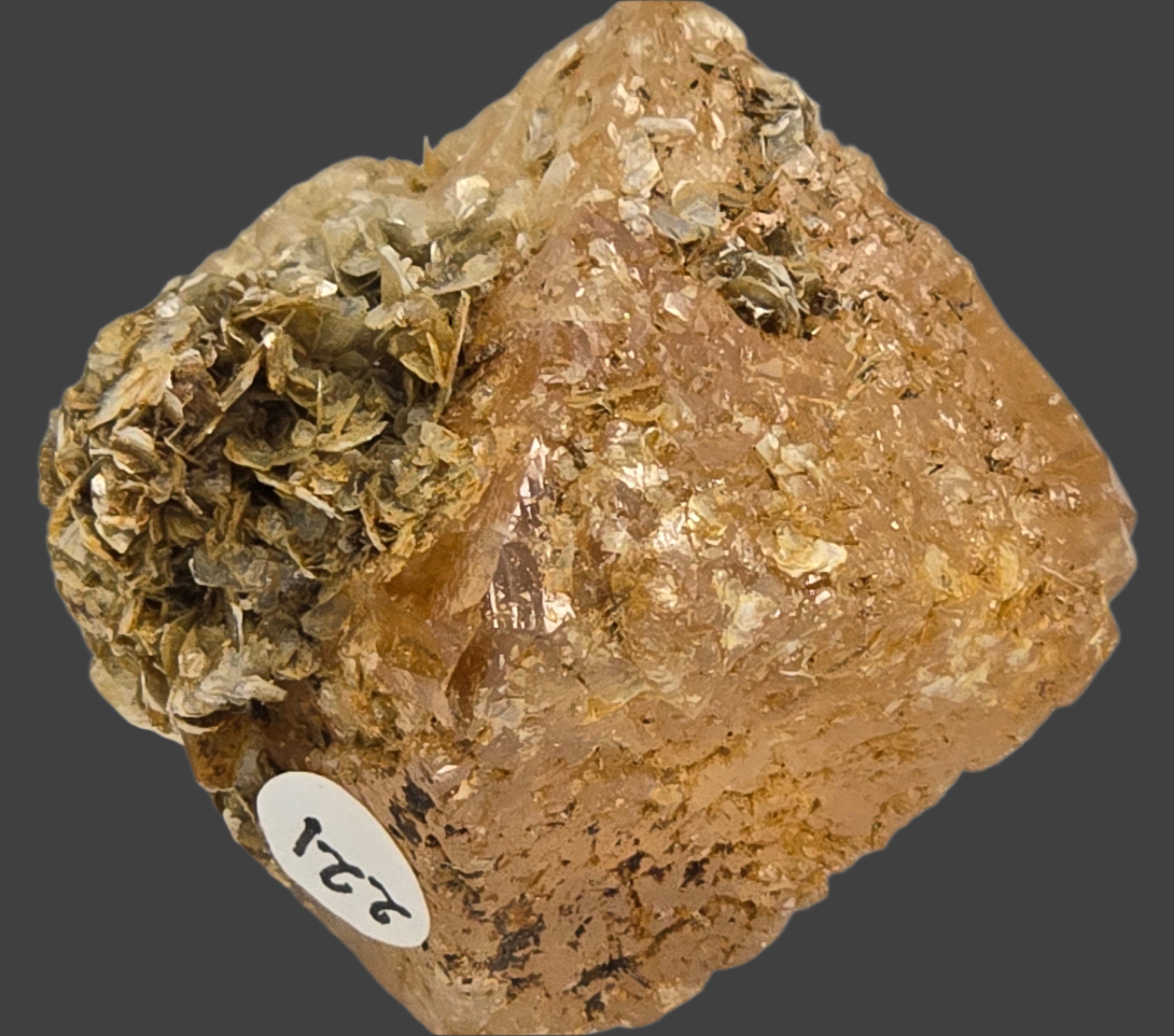 SCHEELITE (single crystal) with MUSCOVITE (small cabinet)