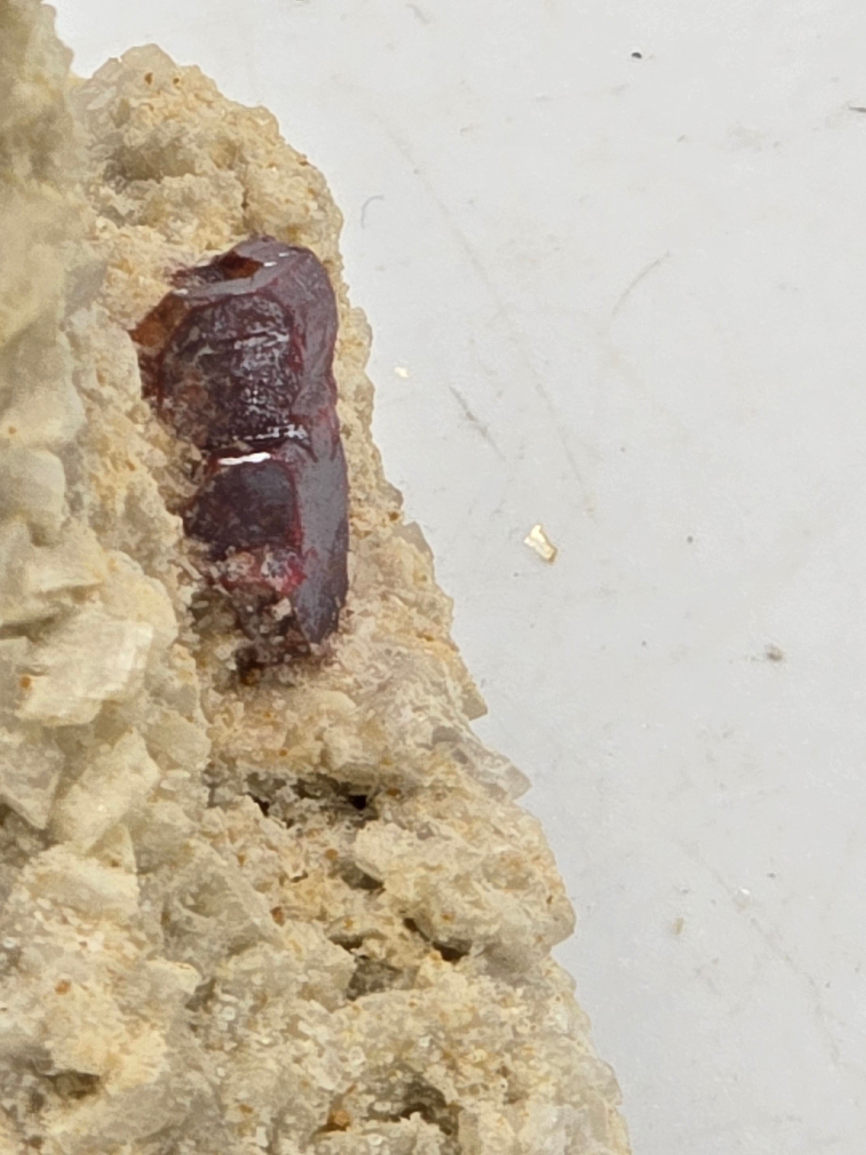 CINNABAR (CINNABARITE or MERCURBLENDE) on CALCITE  SMALL CABINET