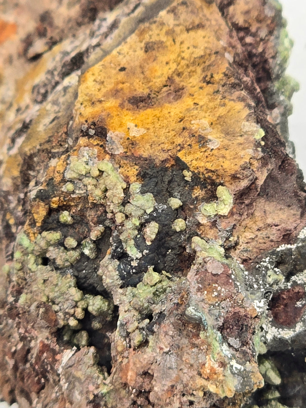 MIMETITE, CORONADITE, DUFTITE (EXTREMELY RARE) (small cabinet)