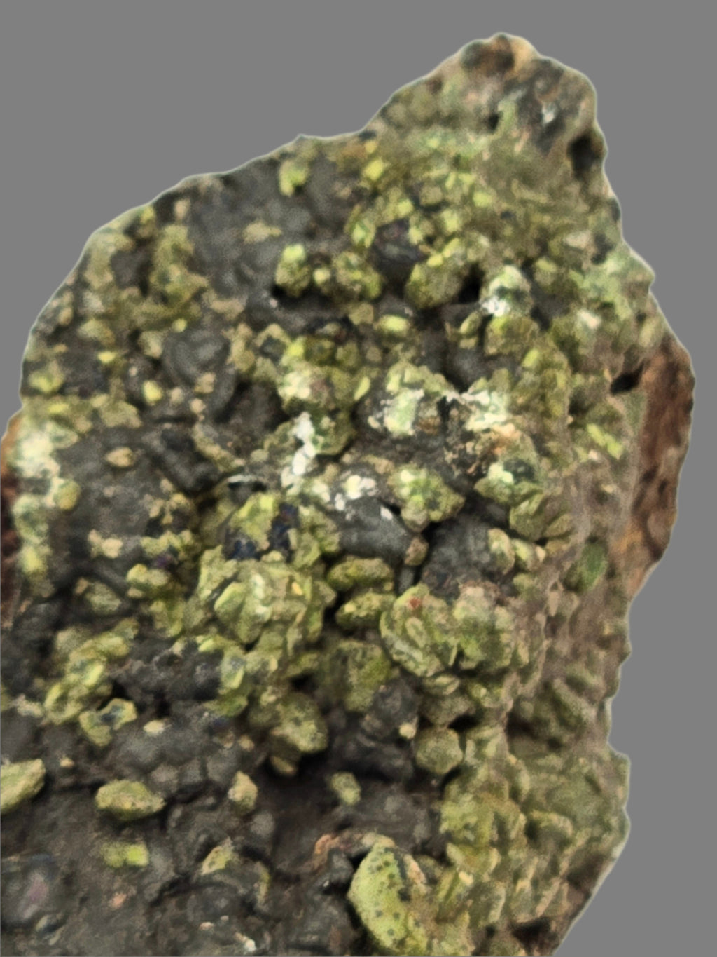 MIMETITE, CORONADITE, DUFTITE (EXTREMELY RARE) (small cabinet)