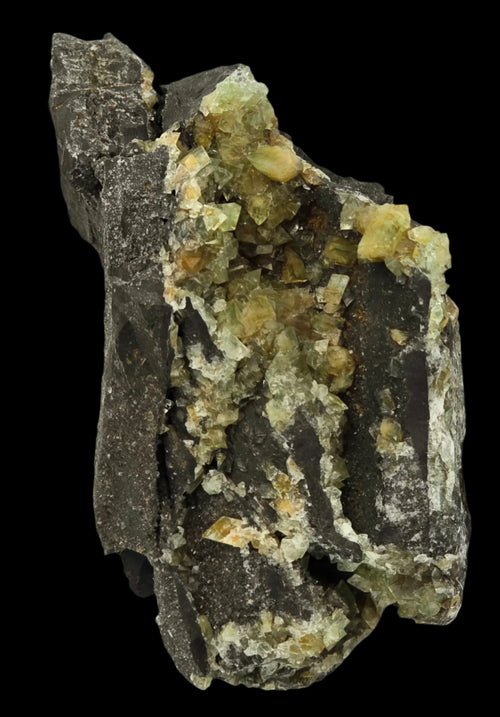 Fluorite crystal specimen with green-yellow cubic crystals on dark matrix, mineral collector's item
