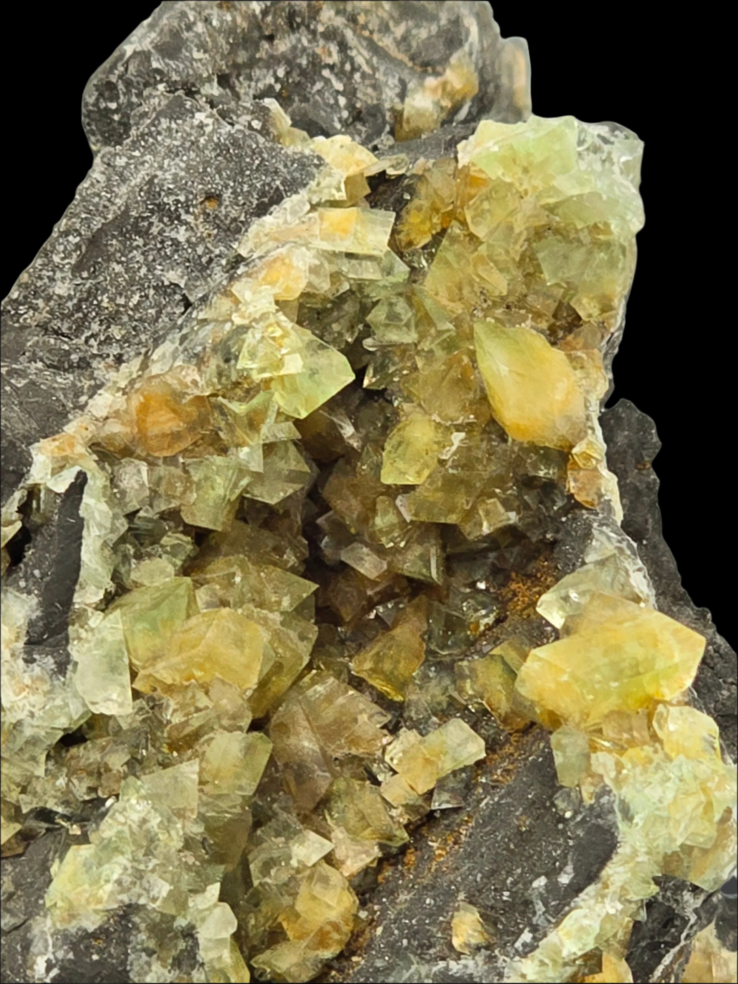 AUGELITE small cabinet